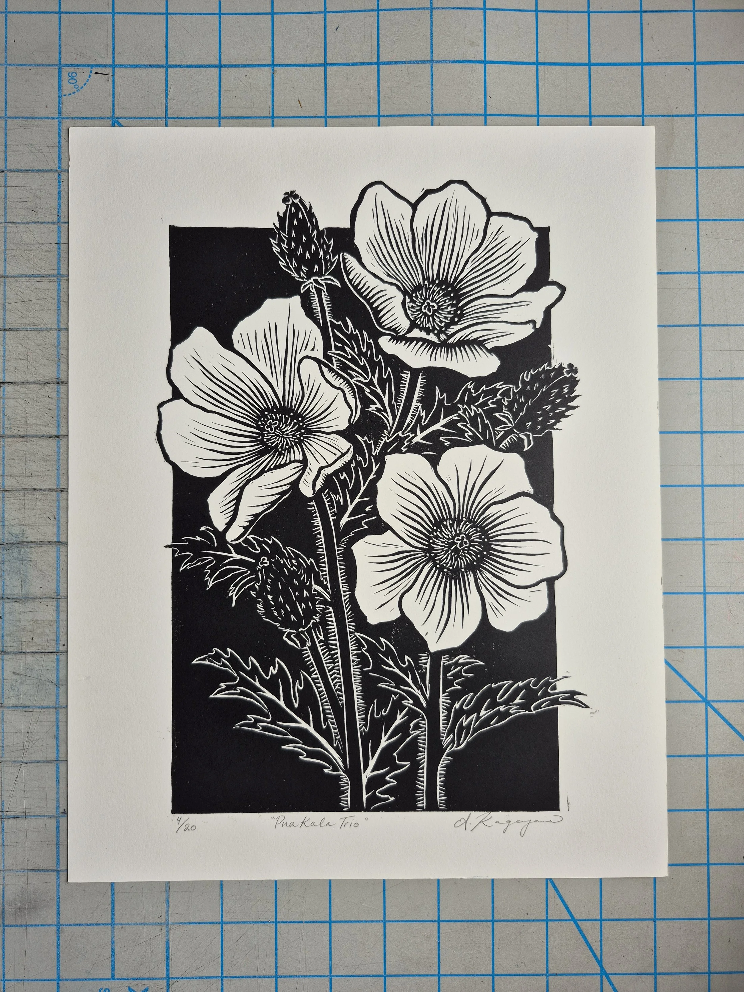 Copy of Kageyama_Pua Kala Trio.jpg