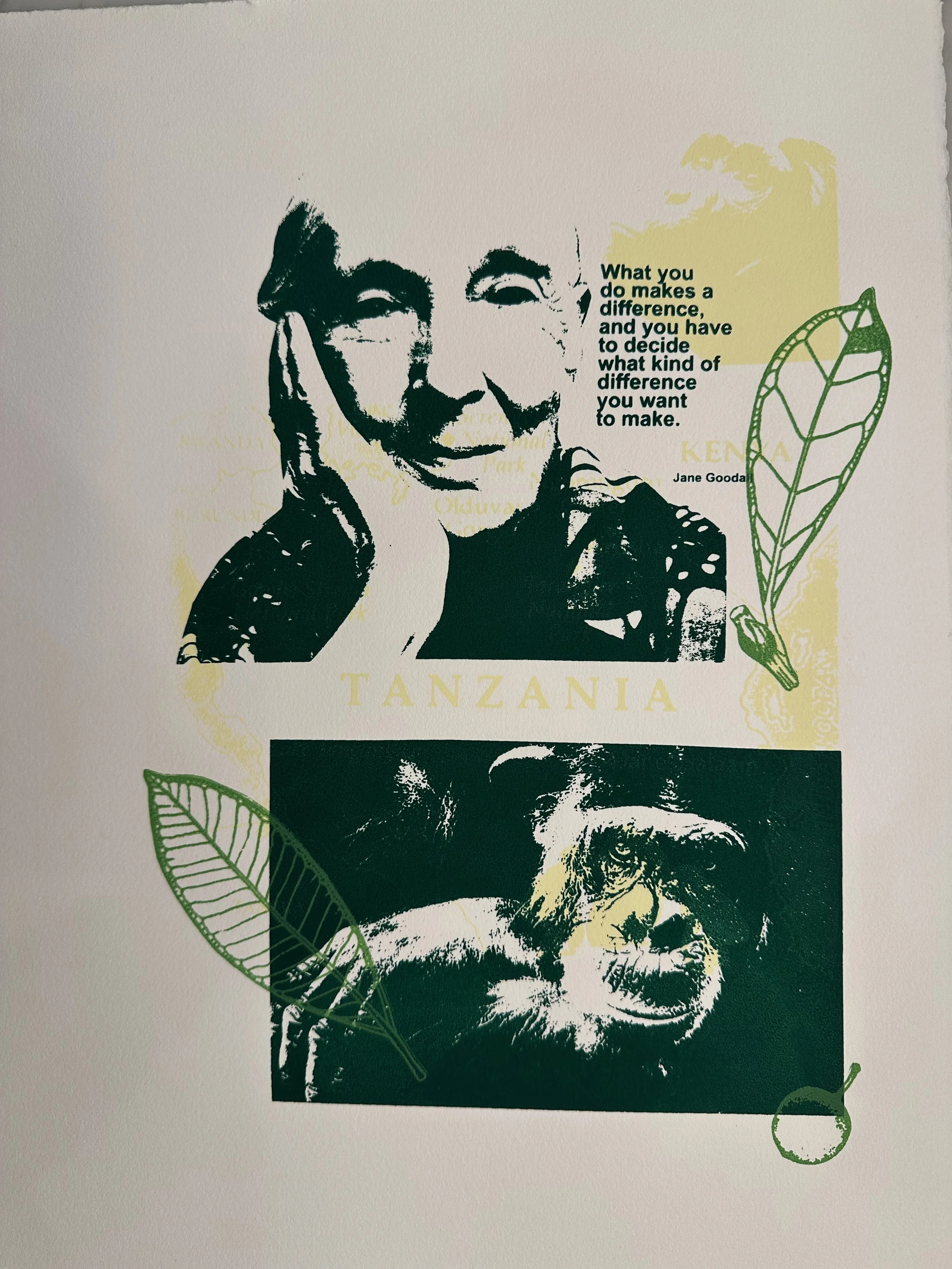 Copy of Palms_Jane.jpeg