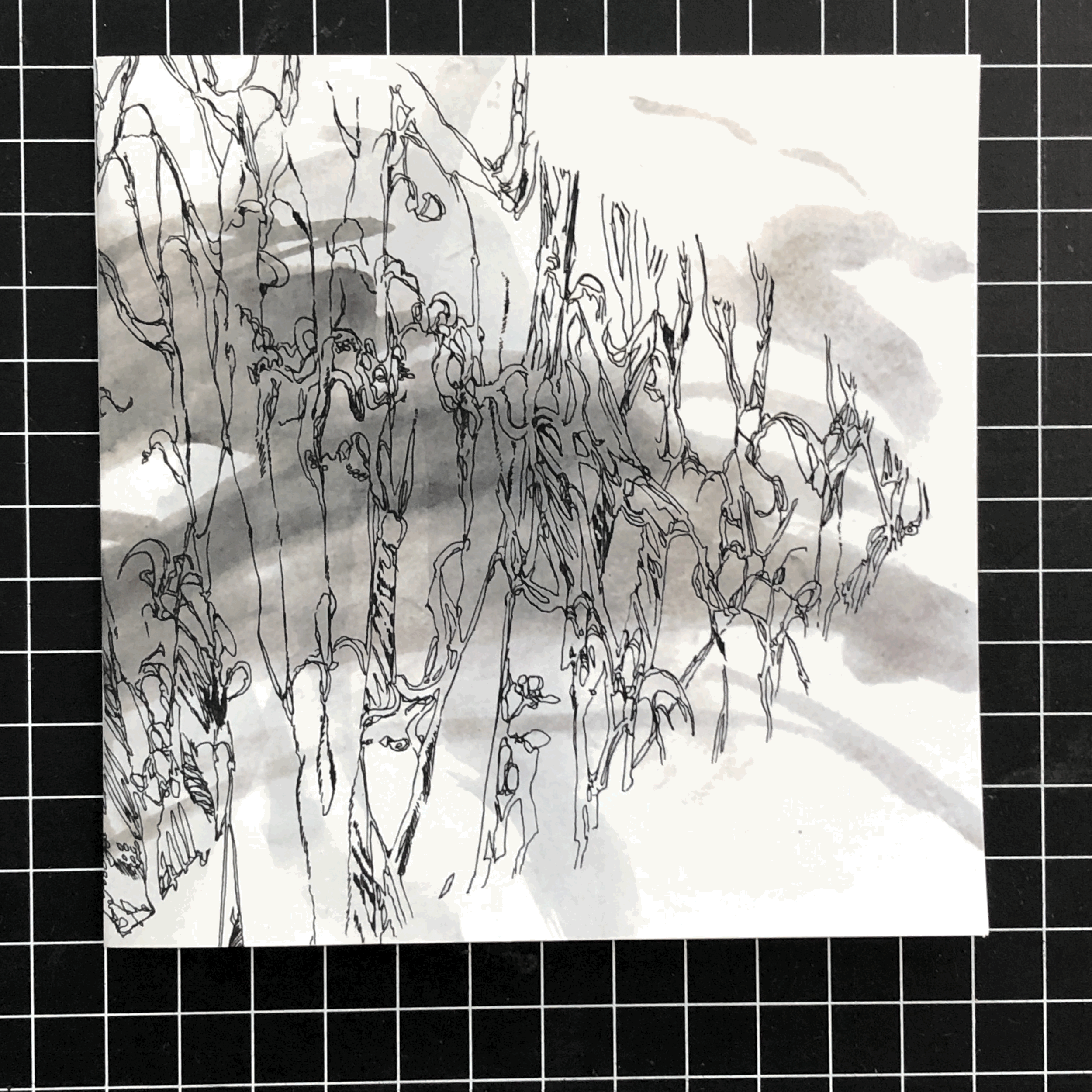 tempImageLuFu92.gif