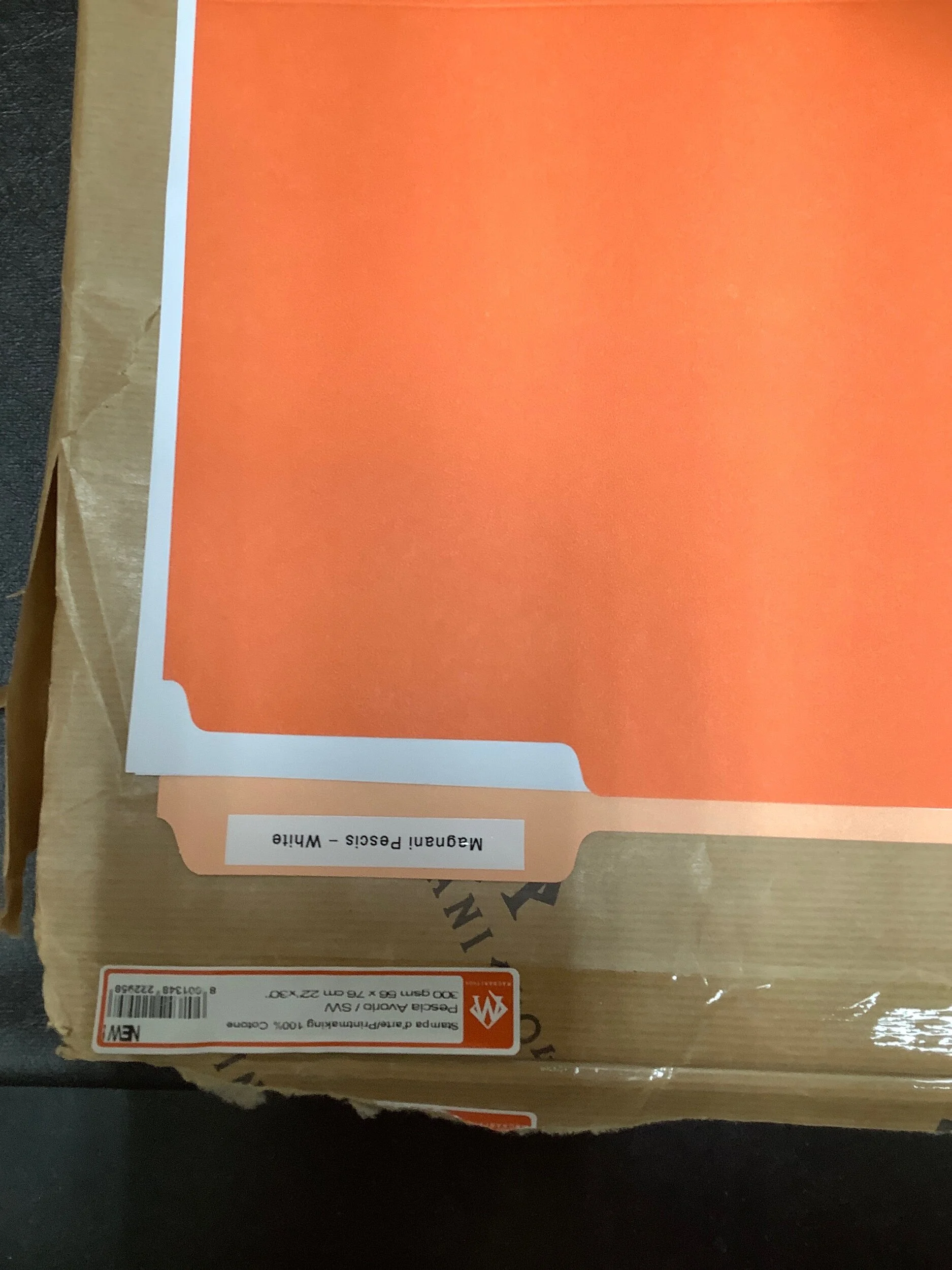 1405E548-BB69-4A36-B909-A6B75101EA3D