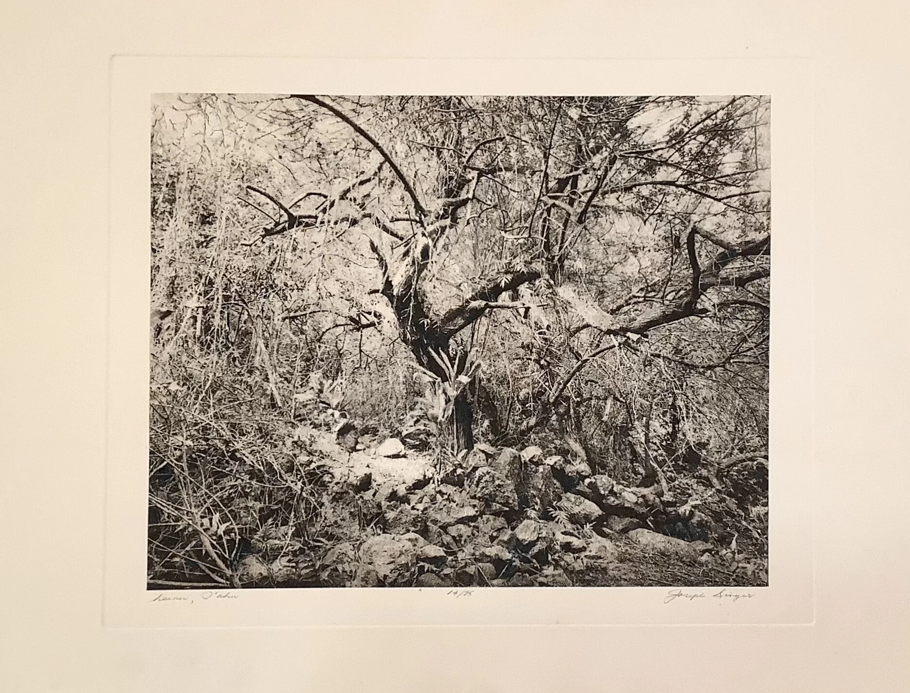 BF0CCFF0-4B94-4875-A146-4D5A9B7F801B