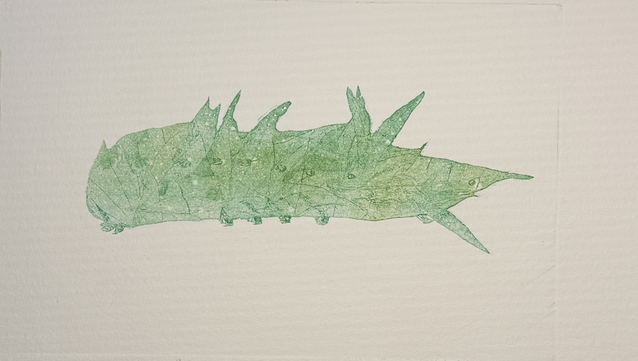 Born%20Was%20the%20Caterpillar.JPG
