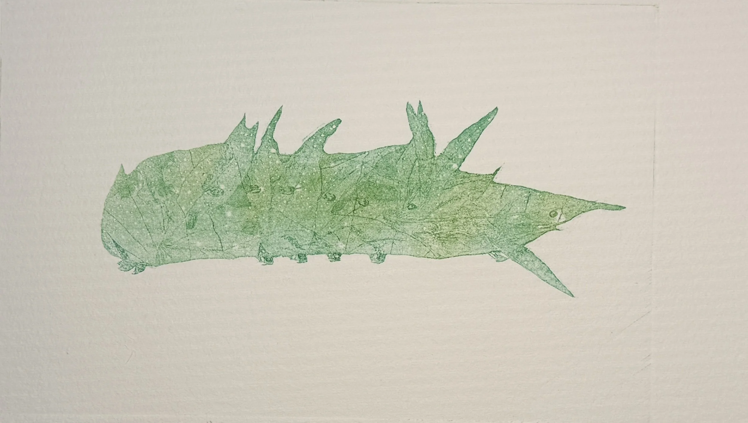 Born%20Was%20the%20Caterpillar.JPG