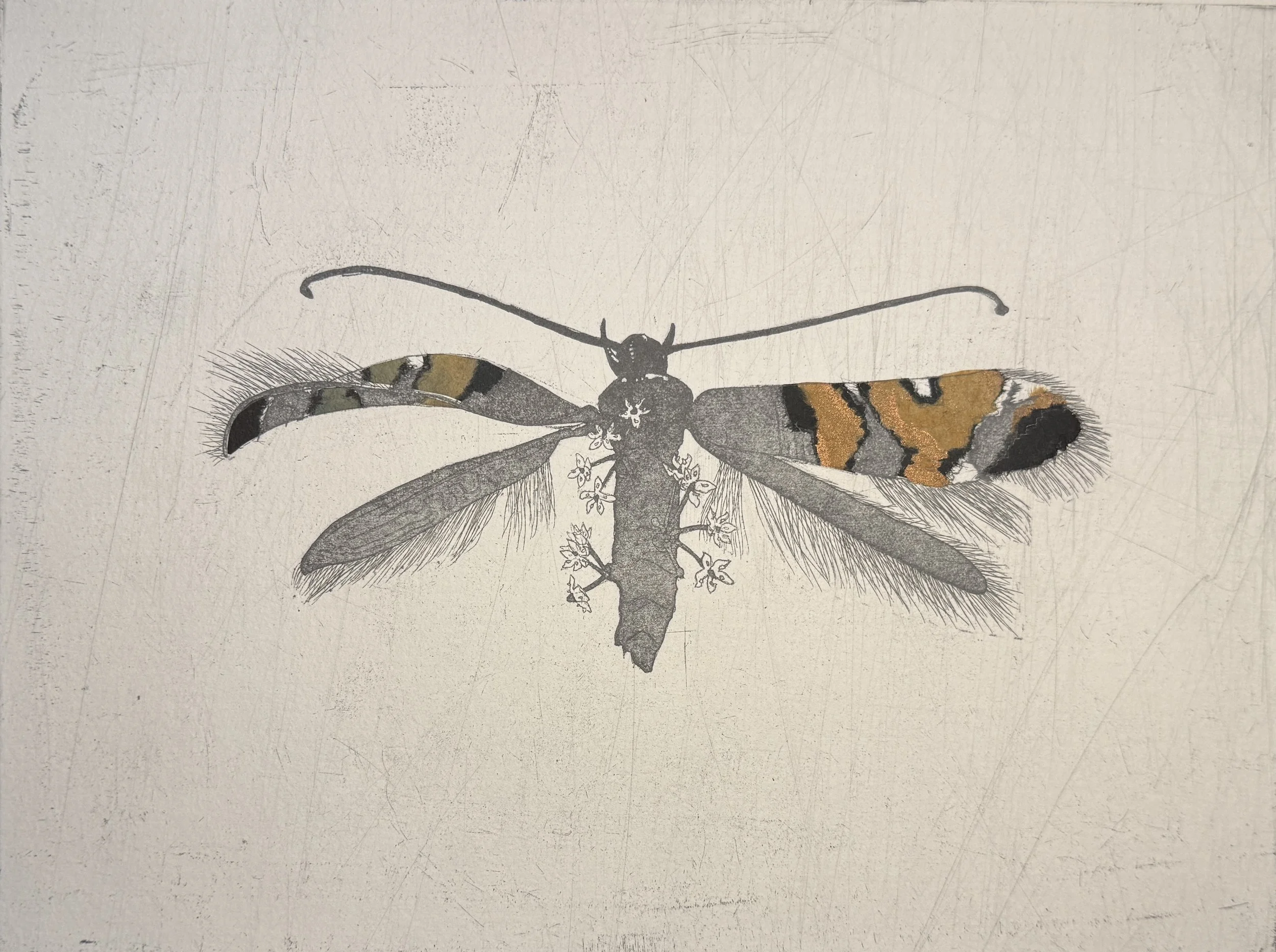 Child%20a%20moth%20I.jpg