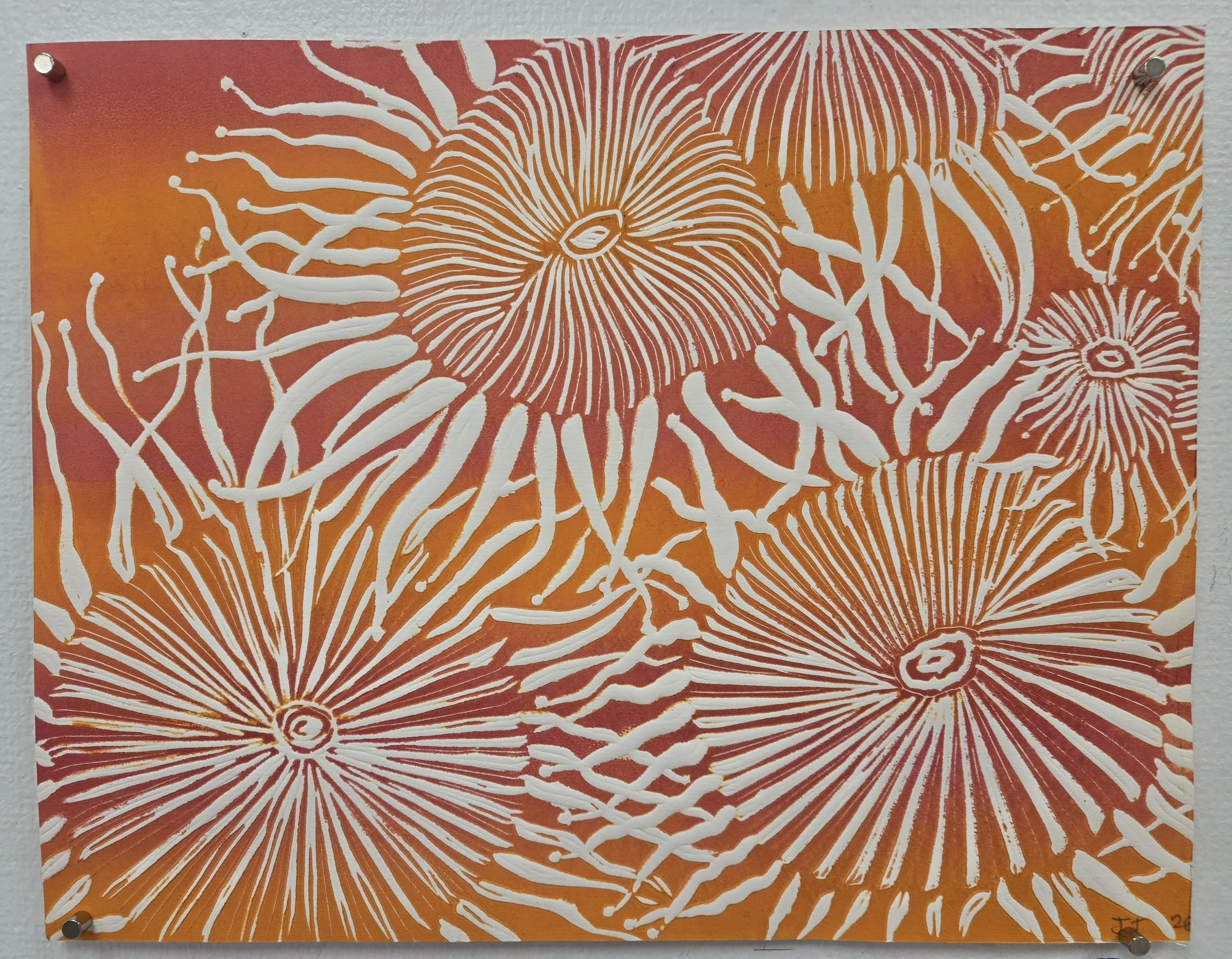 Sea Creatures_Thackray.jpg