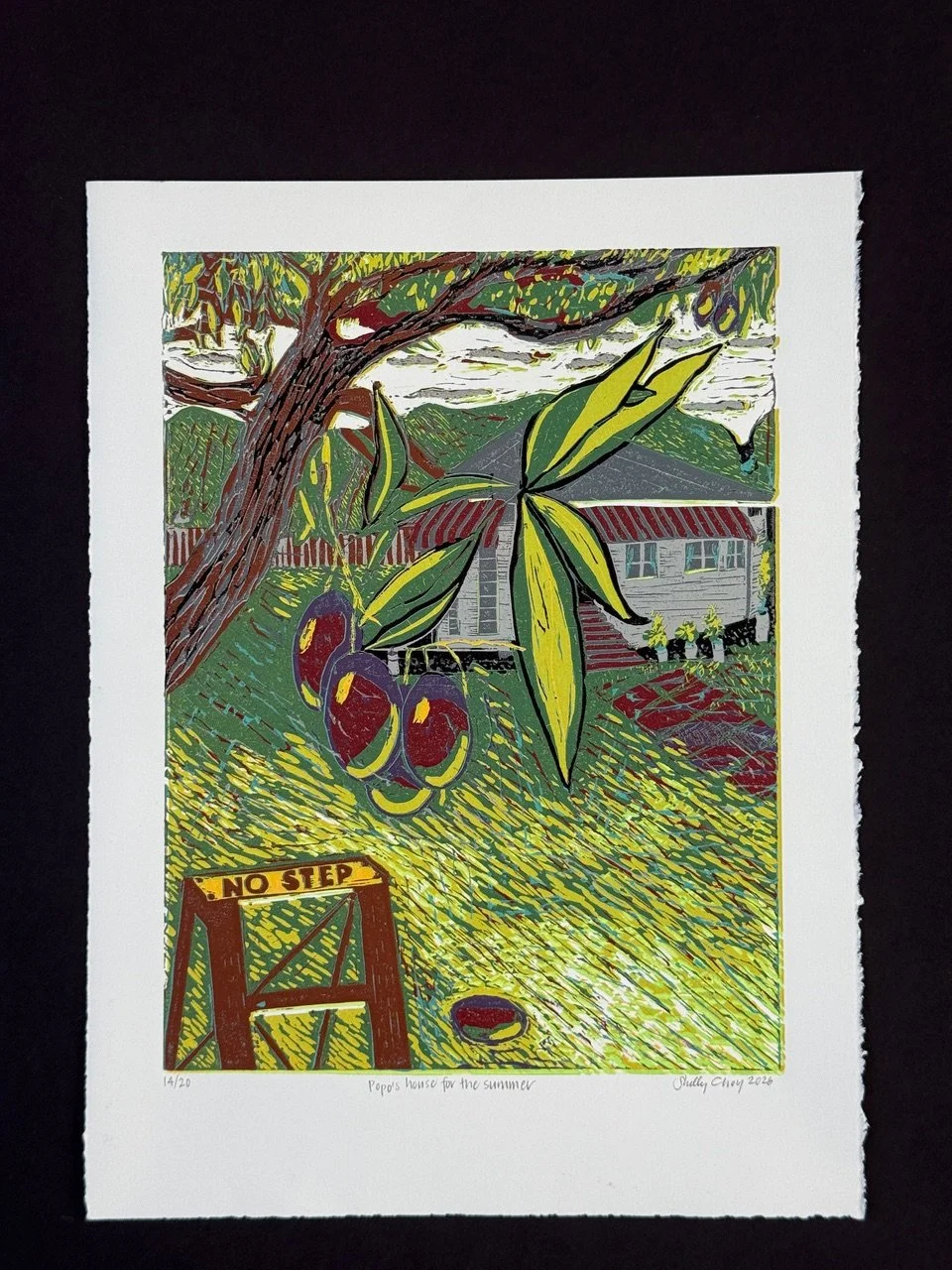 Copy of CHOY_Popo_s house for the summer.jpeg