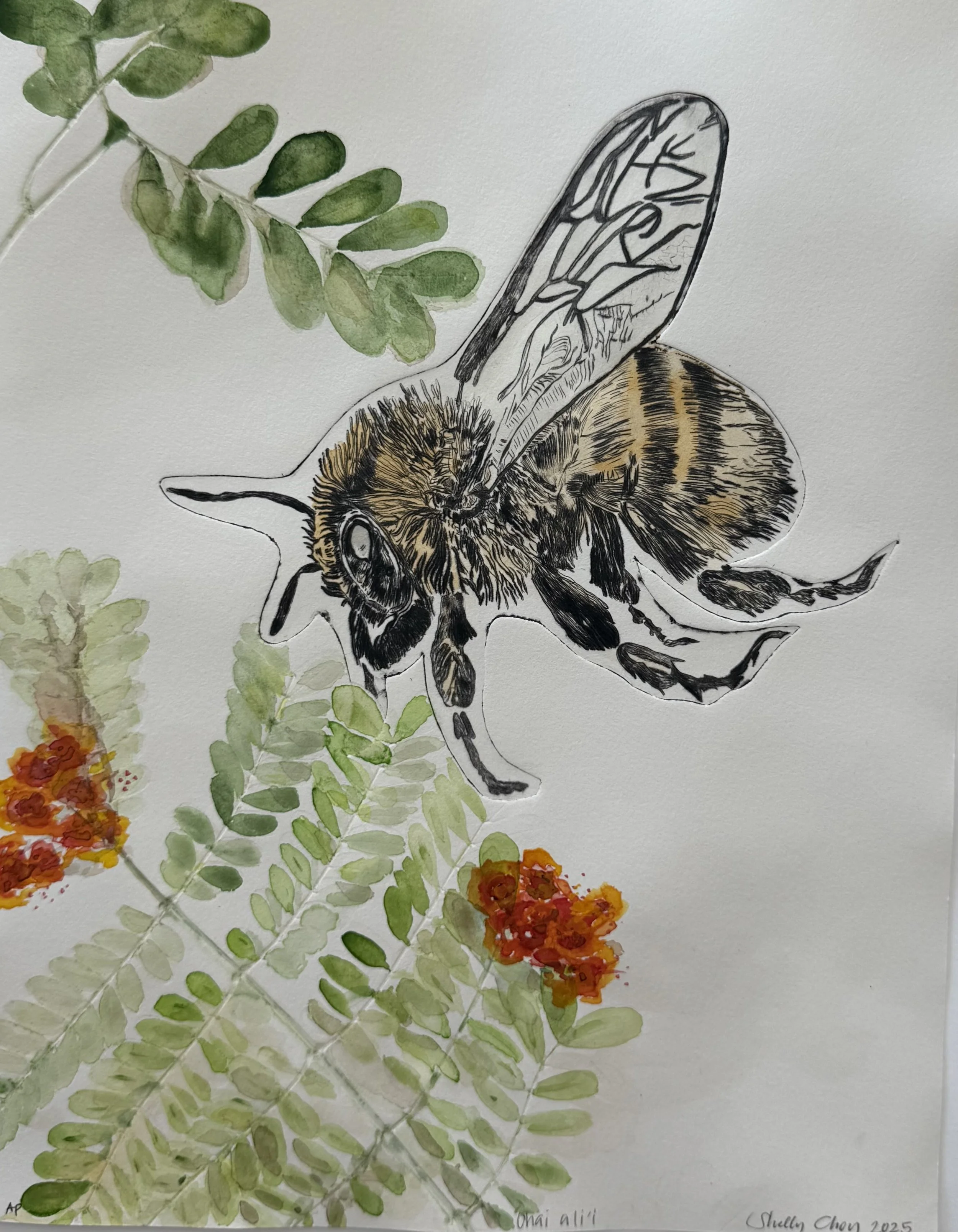 IMG_4354 - Shelly Choy.jpeg