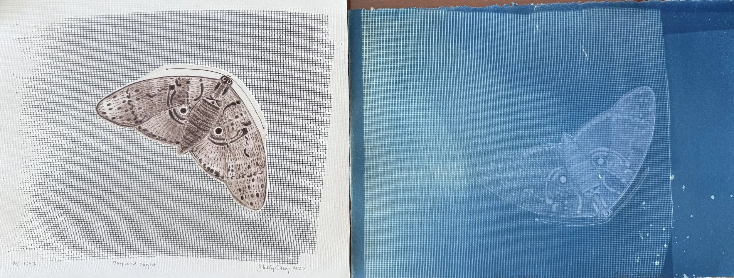 IMG_4343 - Shelly Choy.jpeg