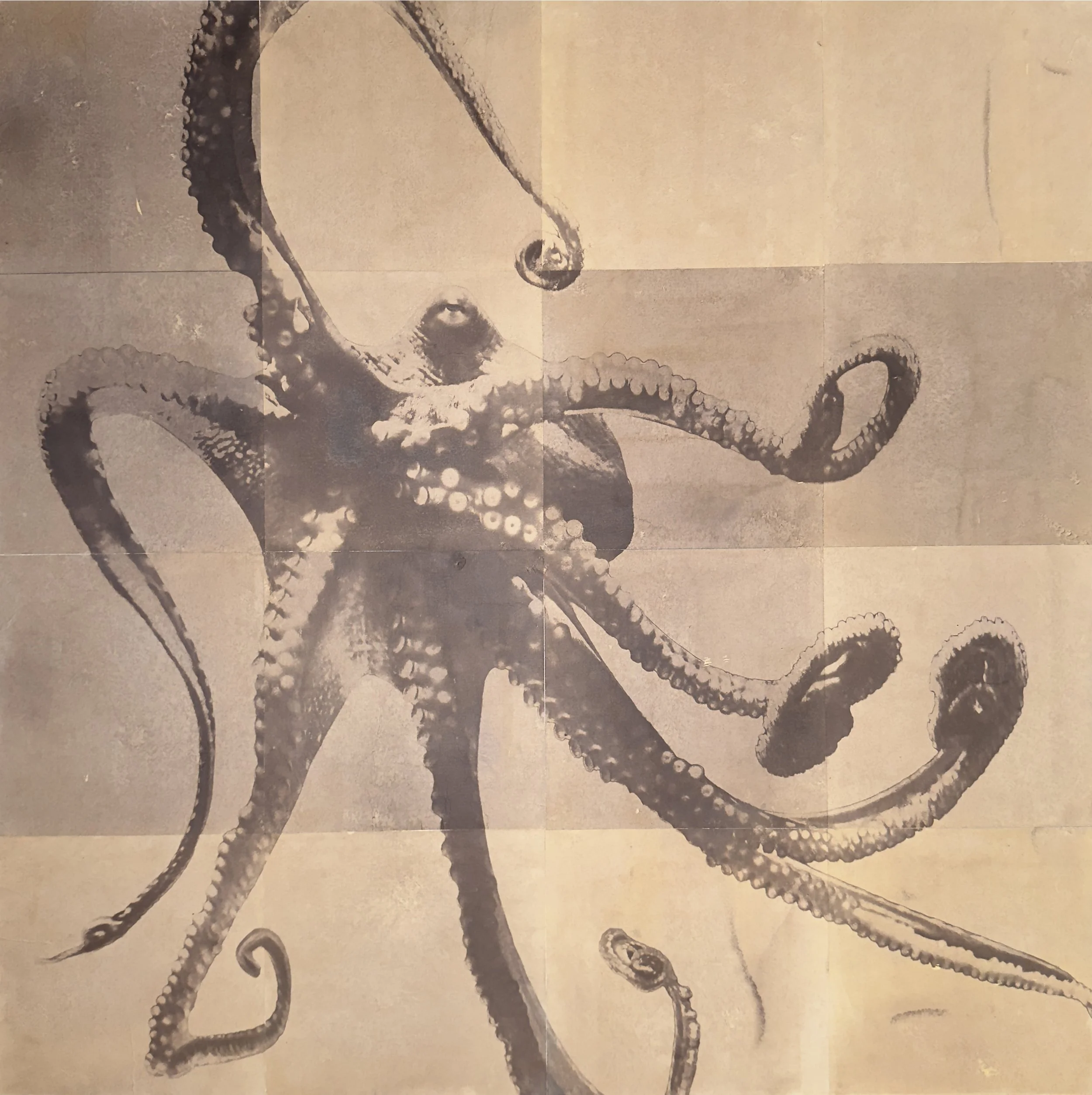 Copy of Johnston_Watching_You_Watching_Me.jpg