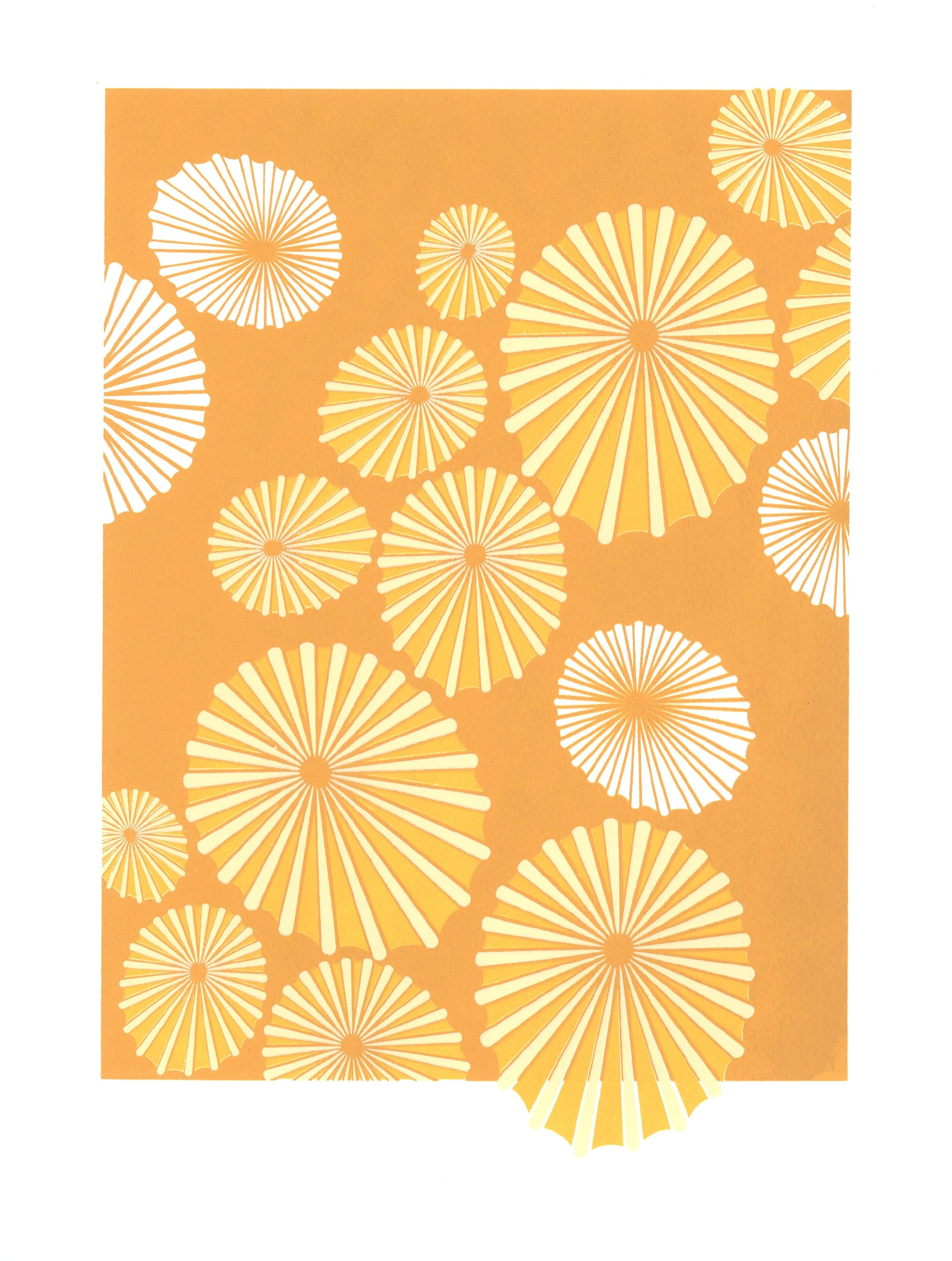 Copy of Silva_Yellow Opihi.jpg