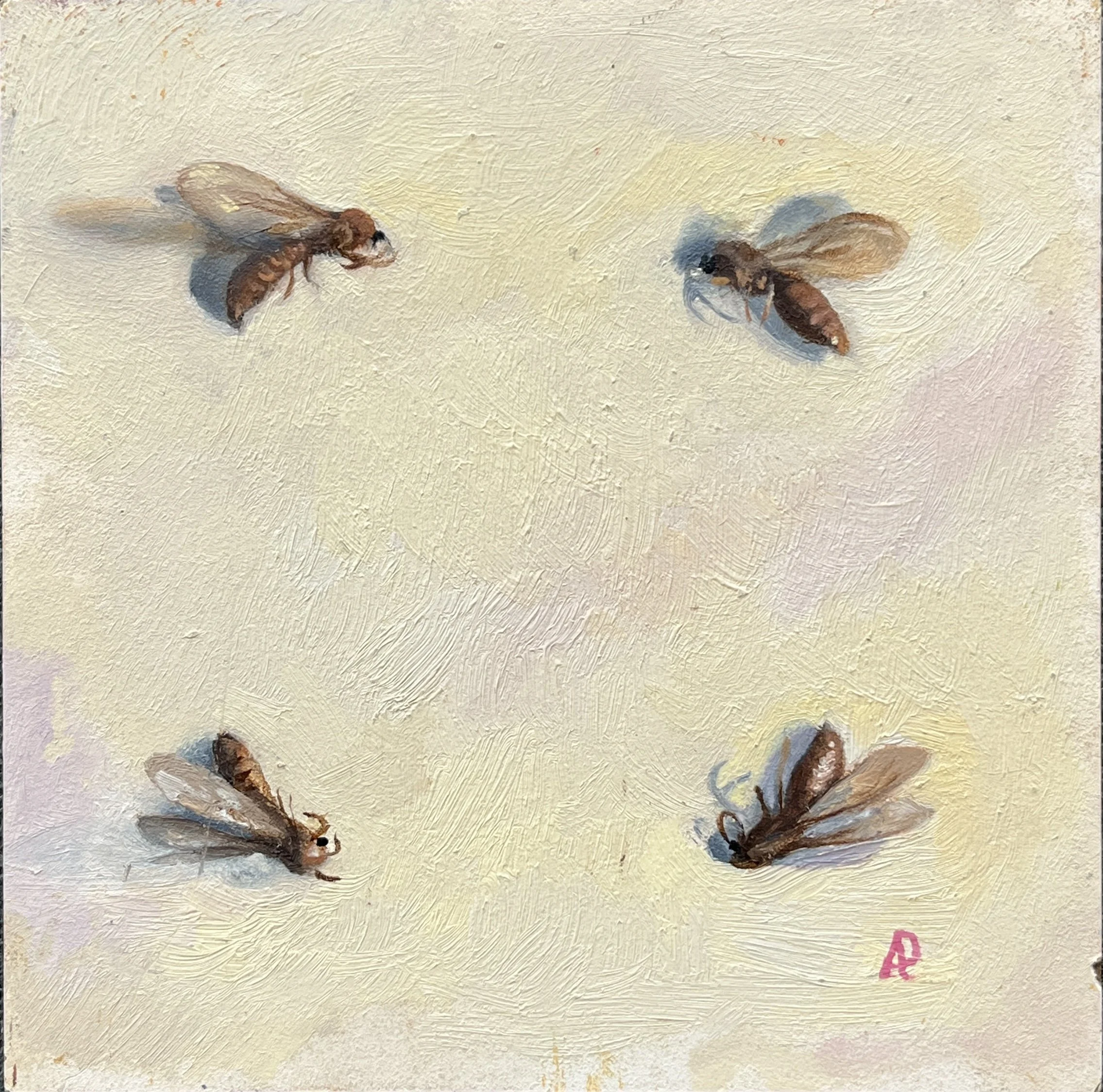 IMG_6552 - Alla Parsons.jpeg