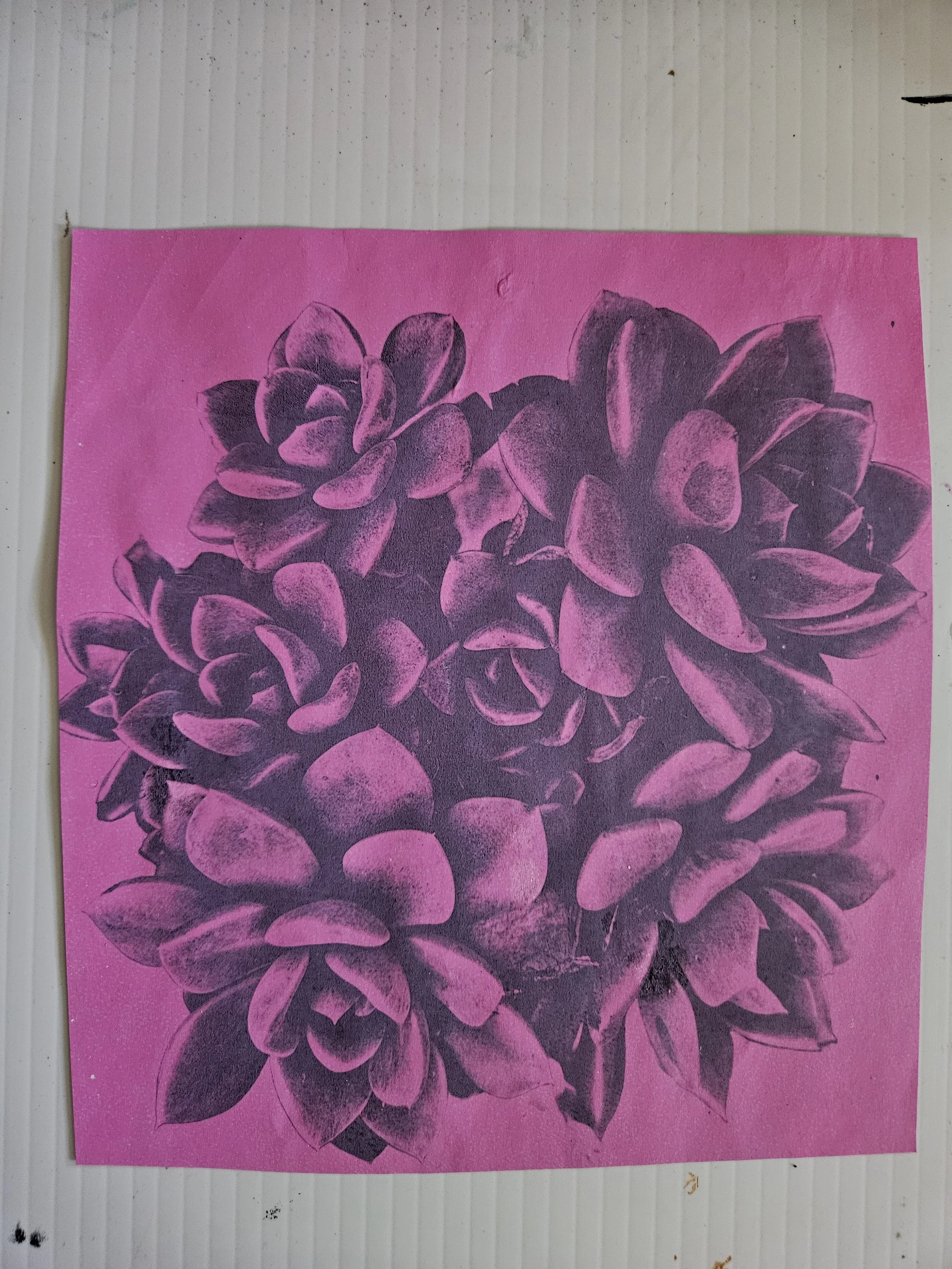 succulent.jpg