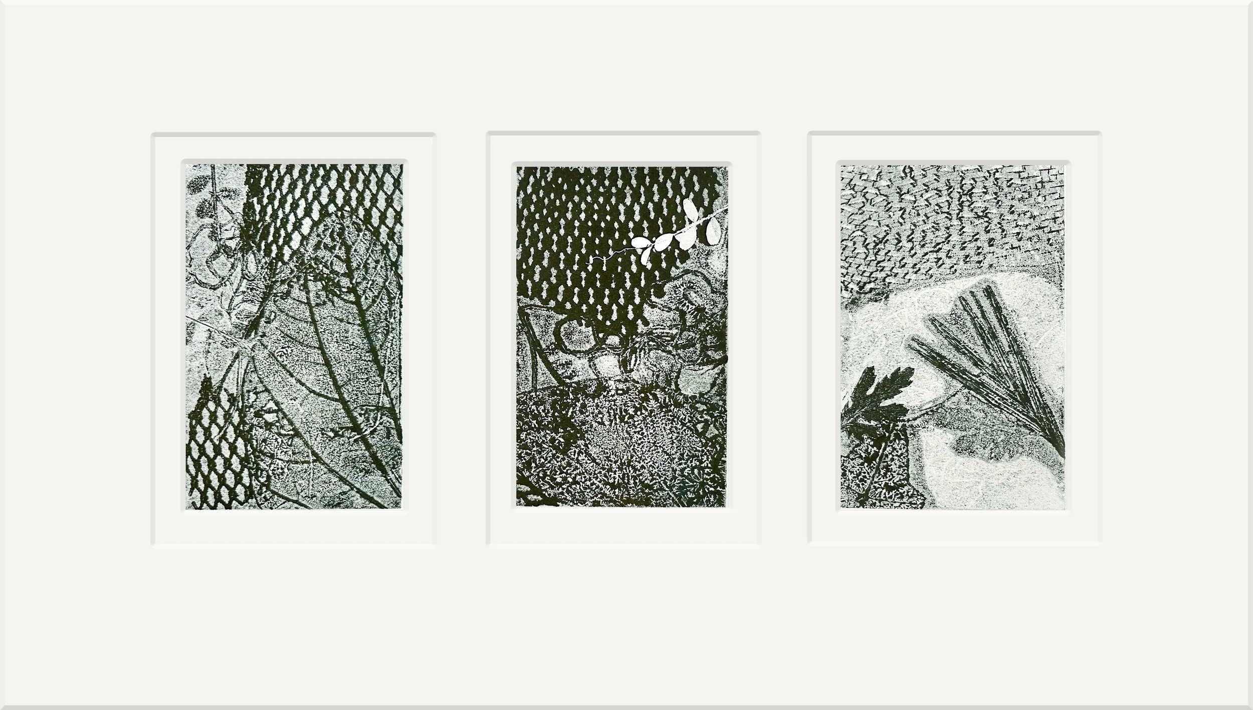 Copy of Wedemeyer_A Rustic Tapestry.jpg