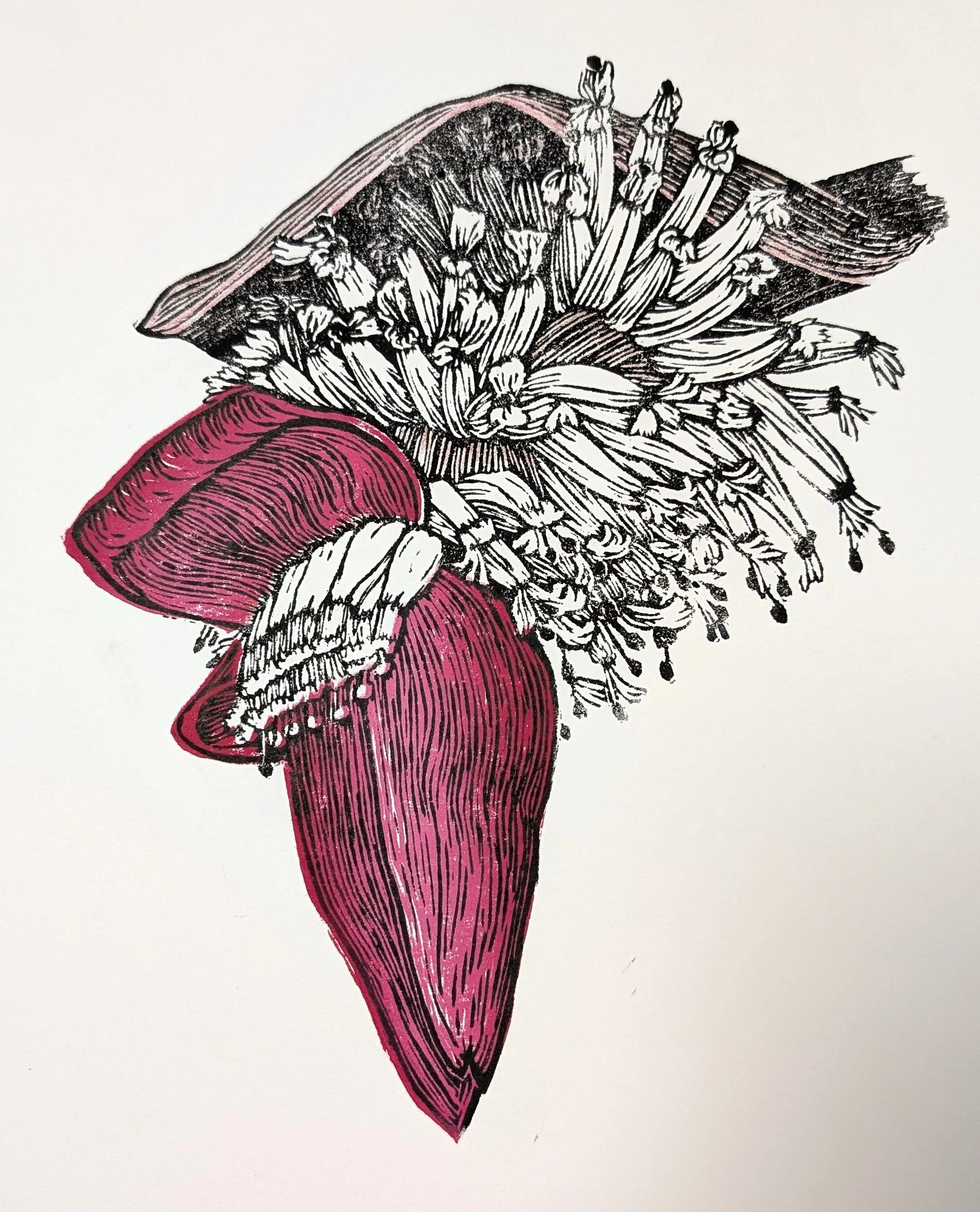 CHING_Red Banana Flower.jpg