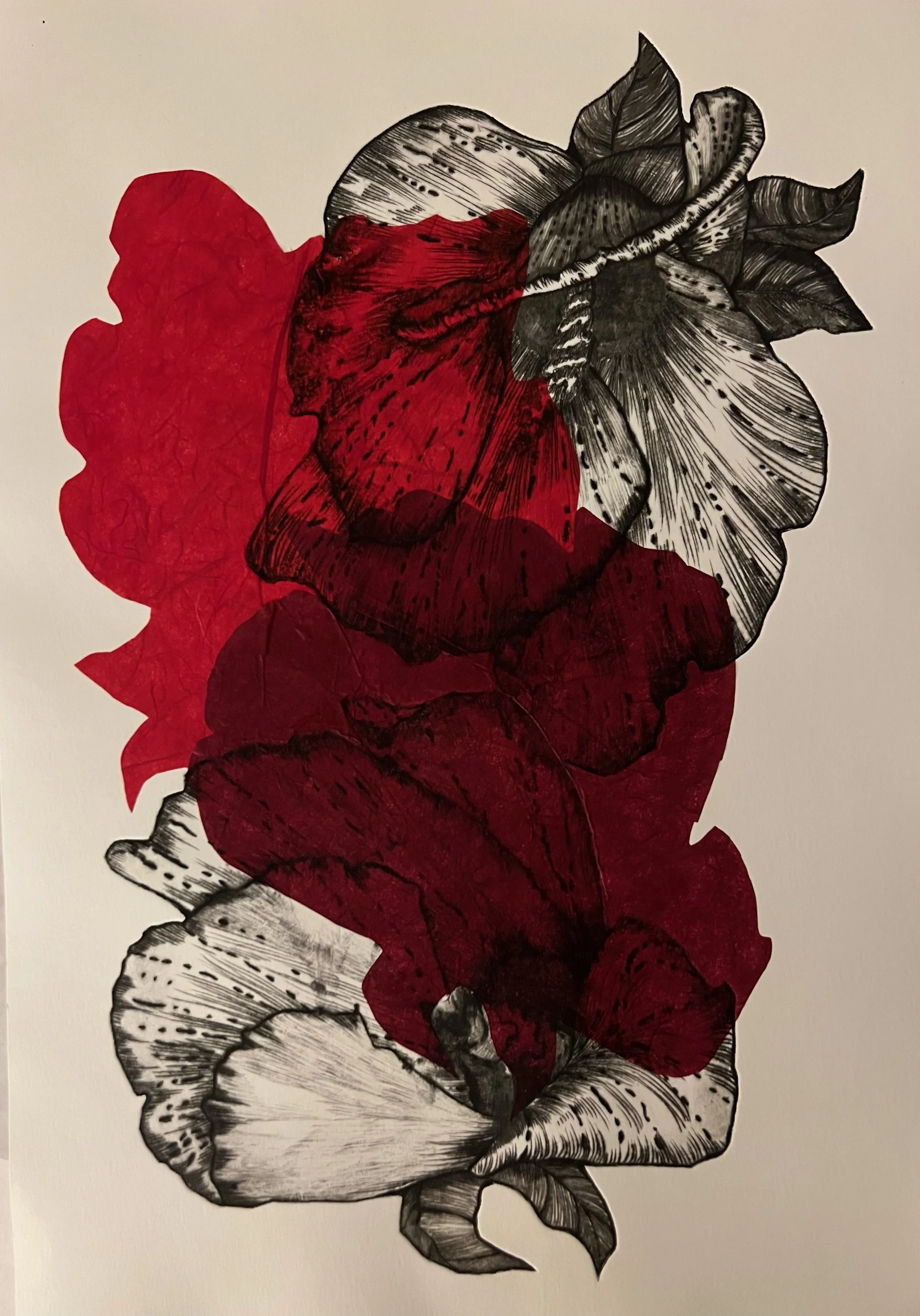 WONG GAVRILCHIK_In the Red Shadow #1.jpeg