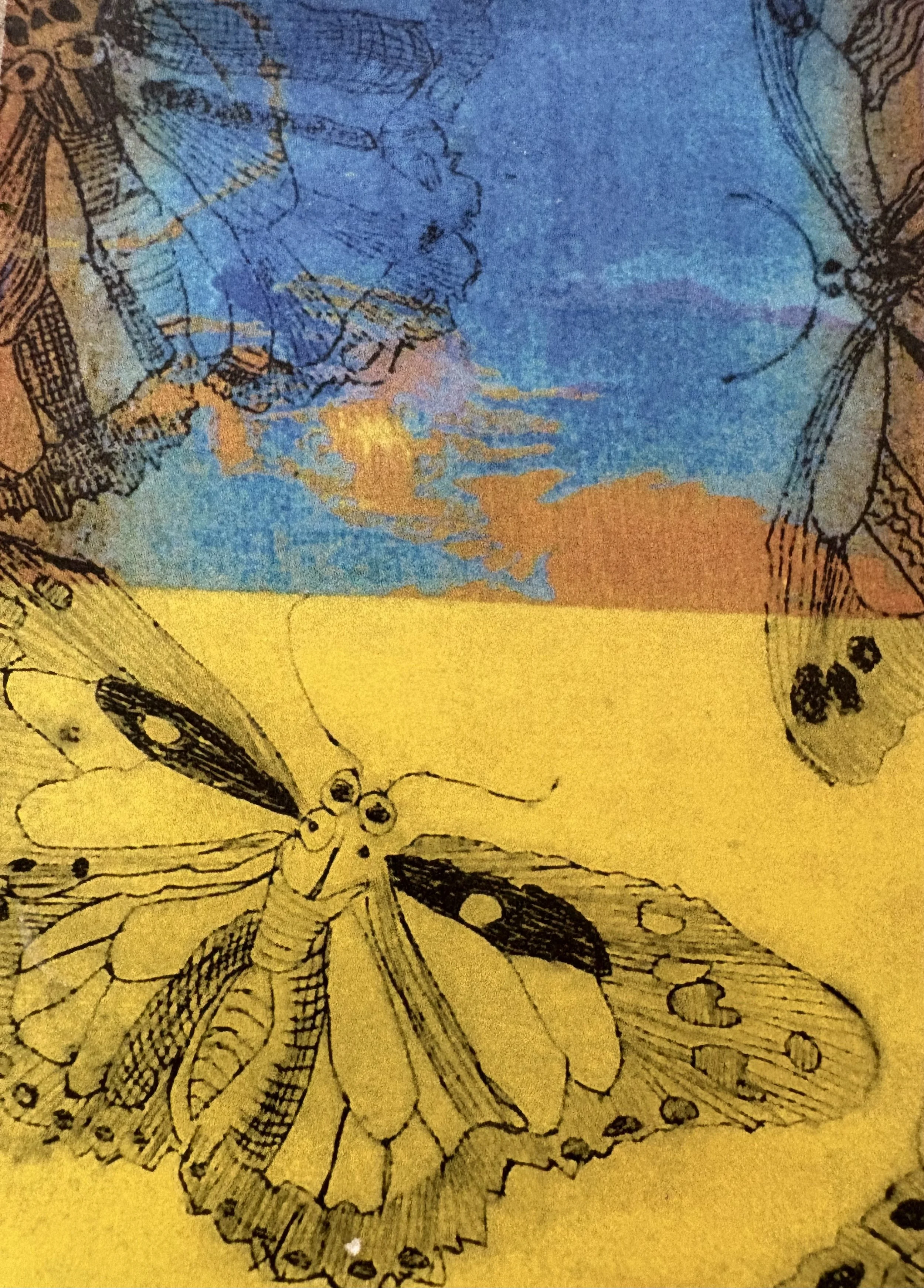 IMG_1829 - Paula Nokes.jpeg