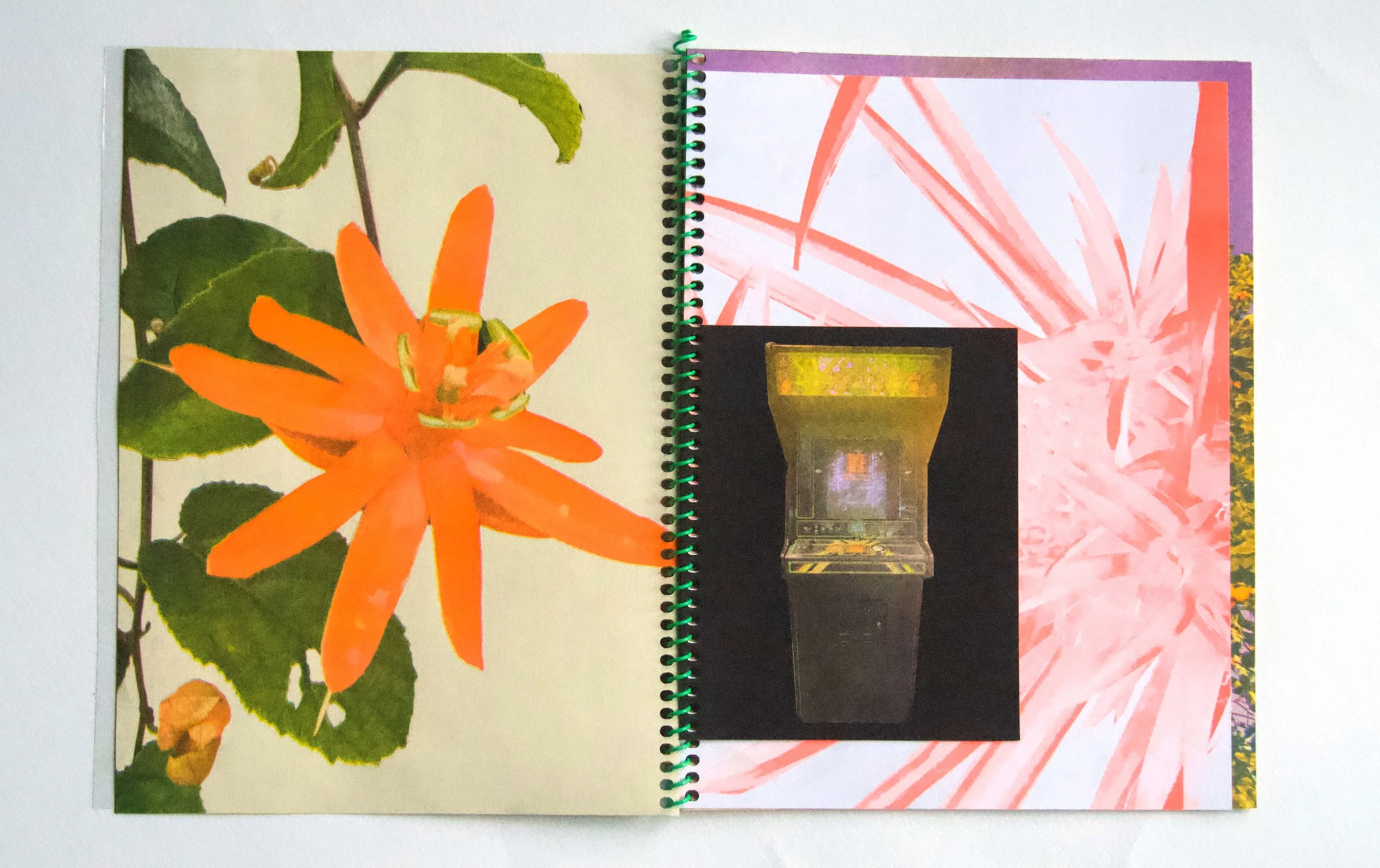 Risography Digital Tools with Pencil Urchin Press — Honolulu