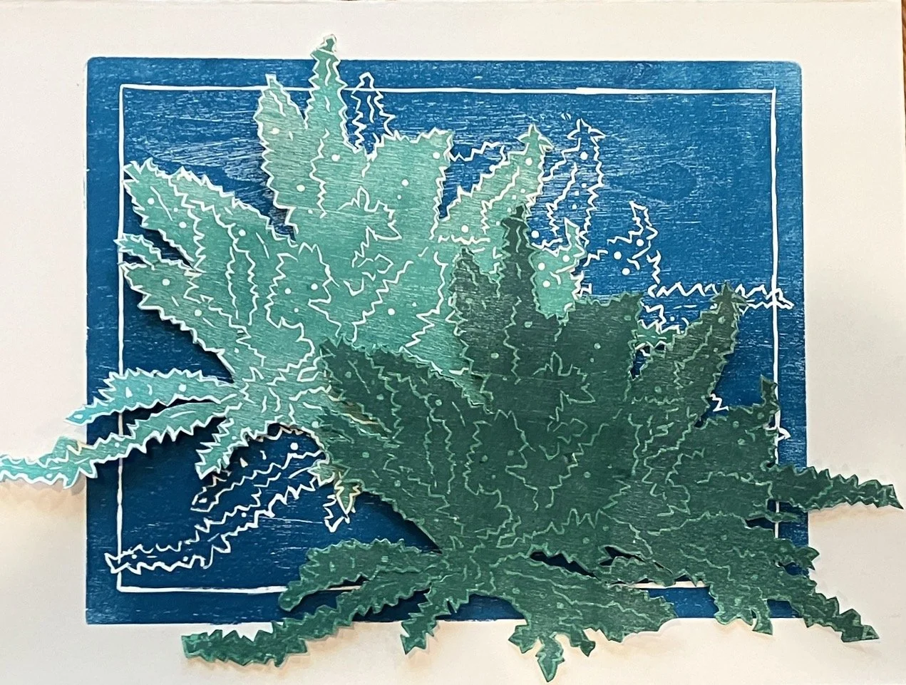 Copy of LowreyE_Limu Kohu.jpeg