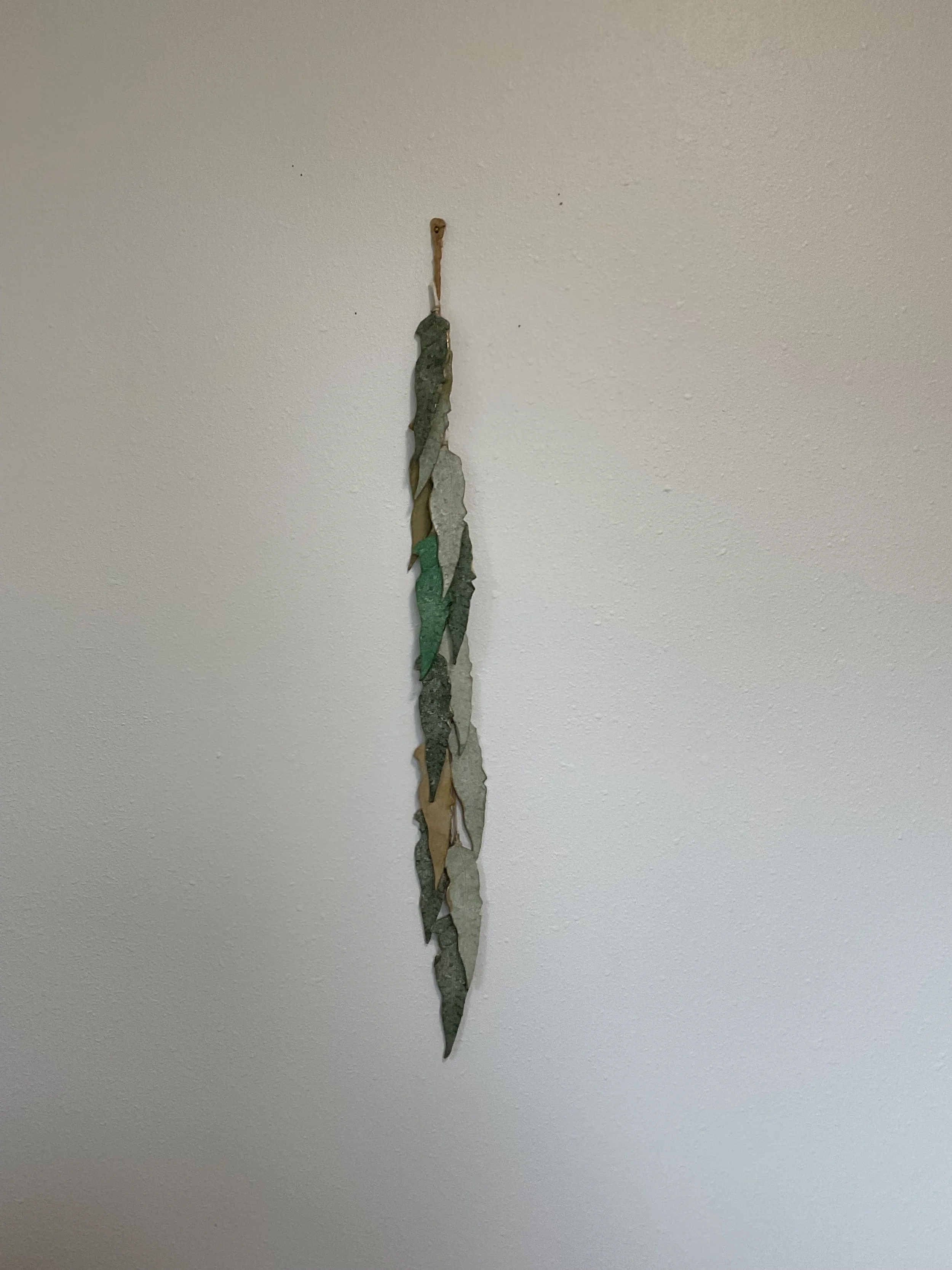 Adams_Fern Song.jpeg