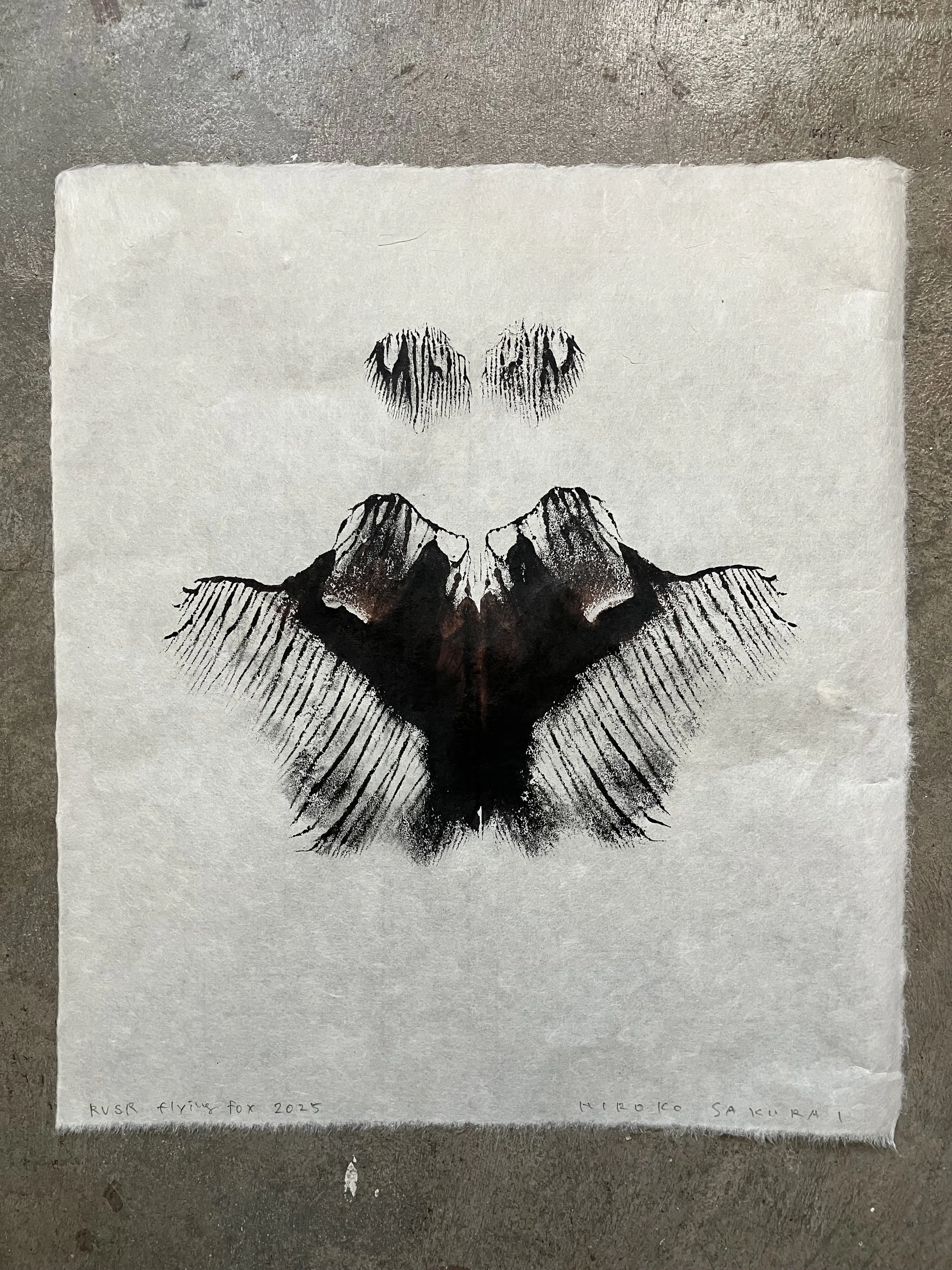 SAKURAI_flying fox.jpg