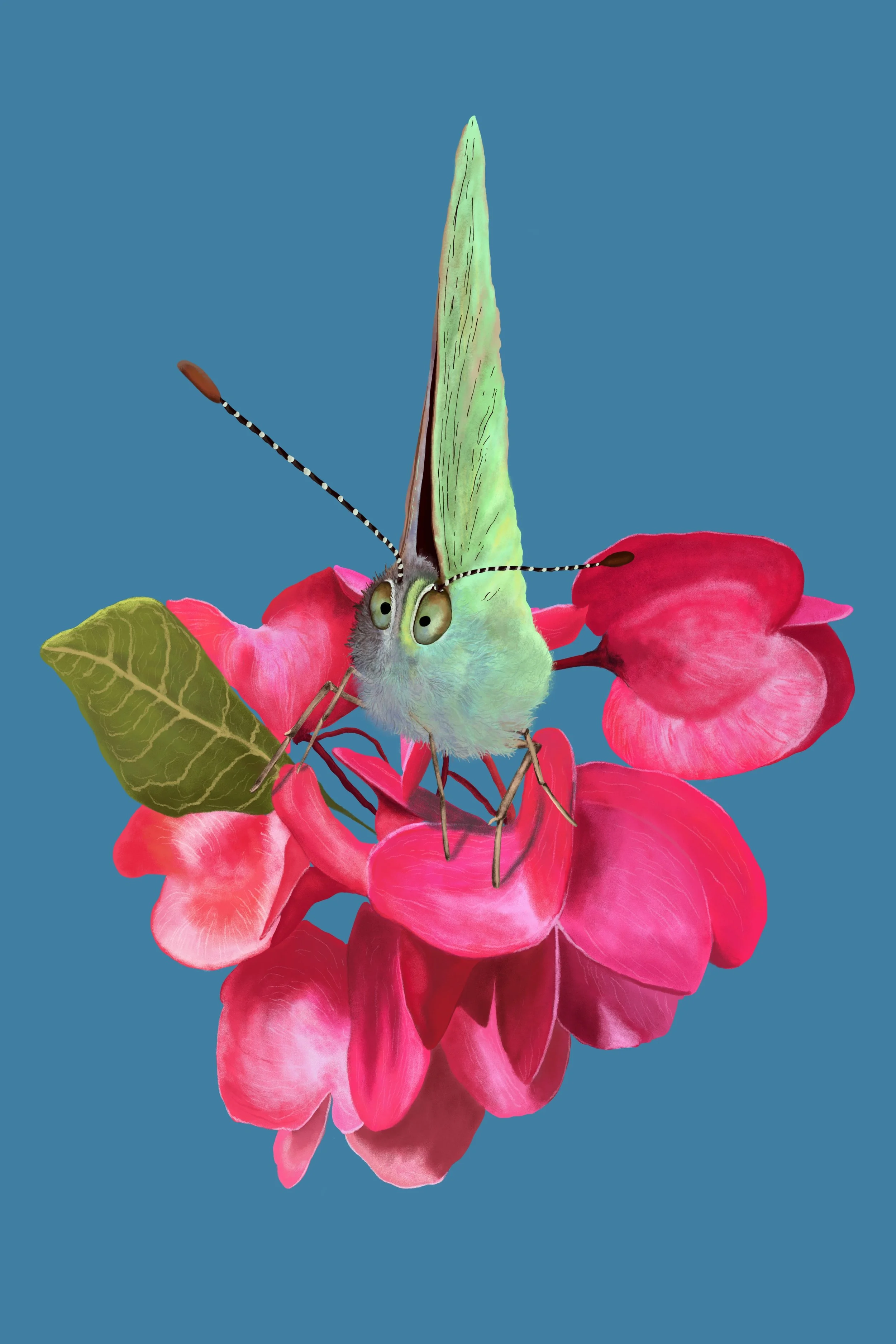 IMG_2665 - steve nimz.jpeg