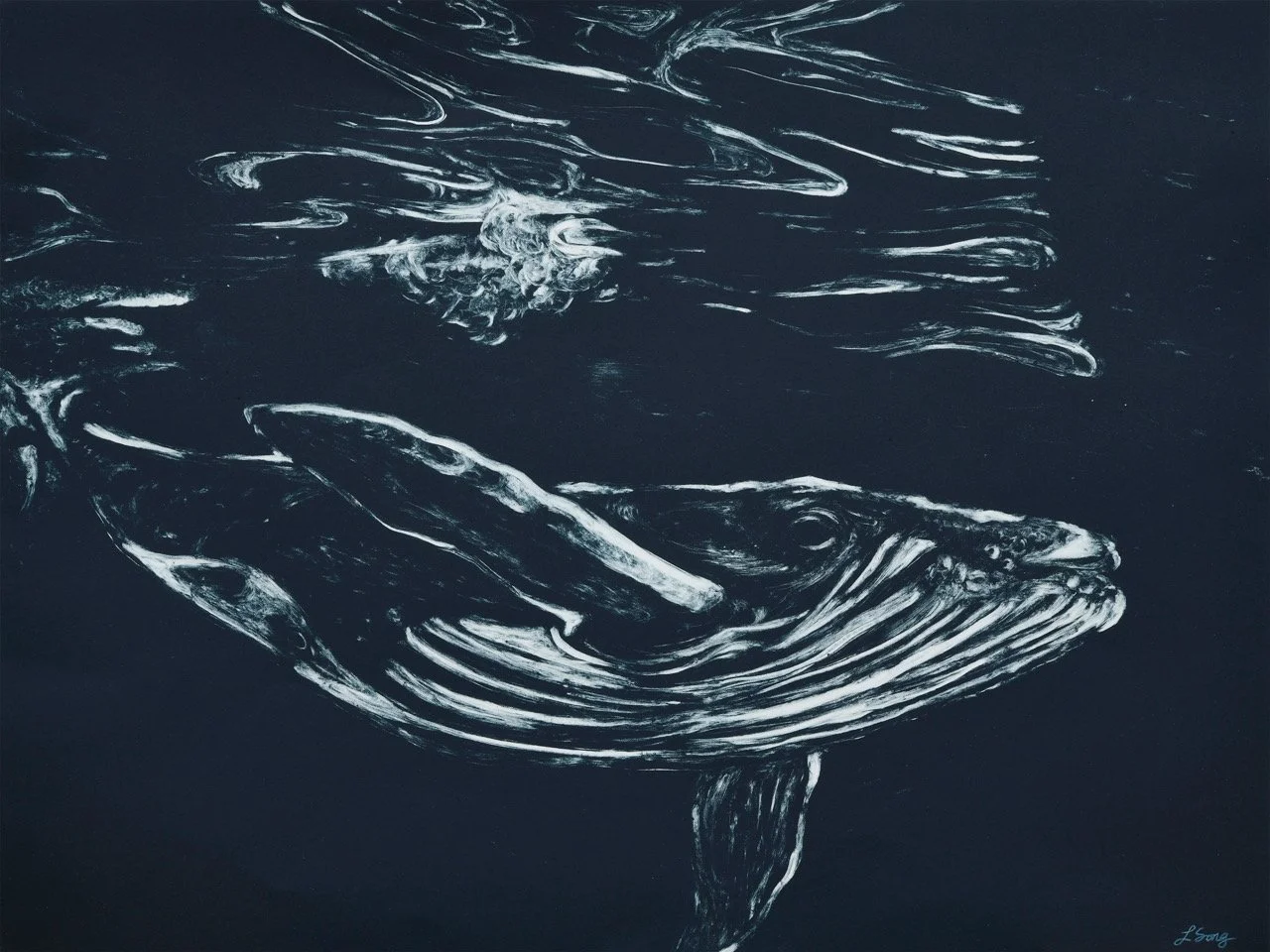 Copy of Song_Tohorā Nui.jpeg