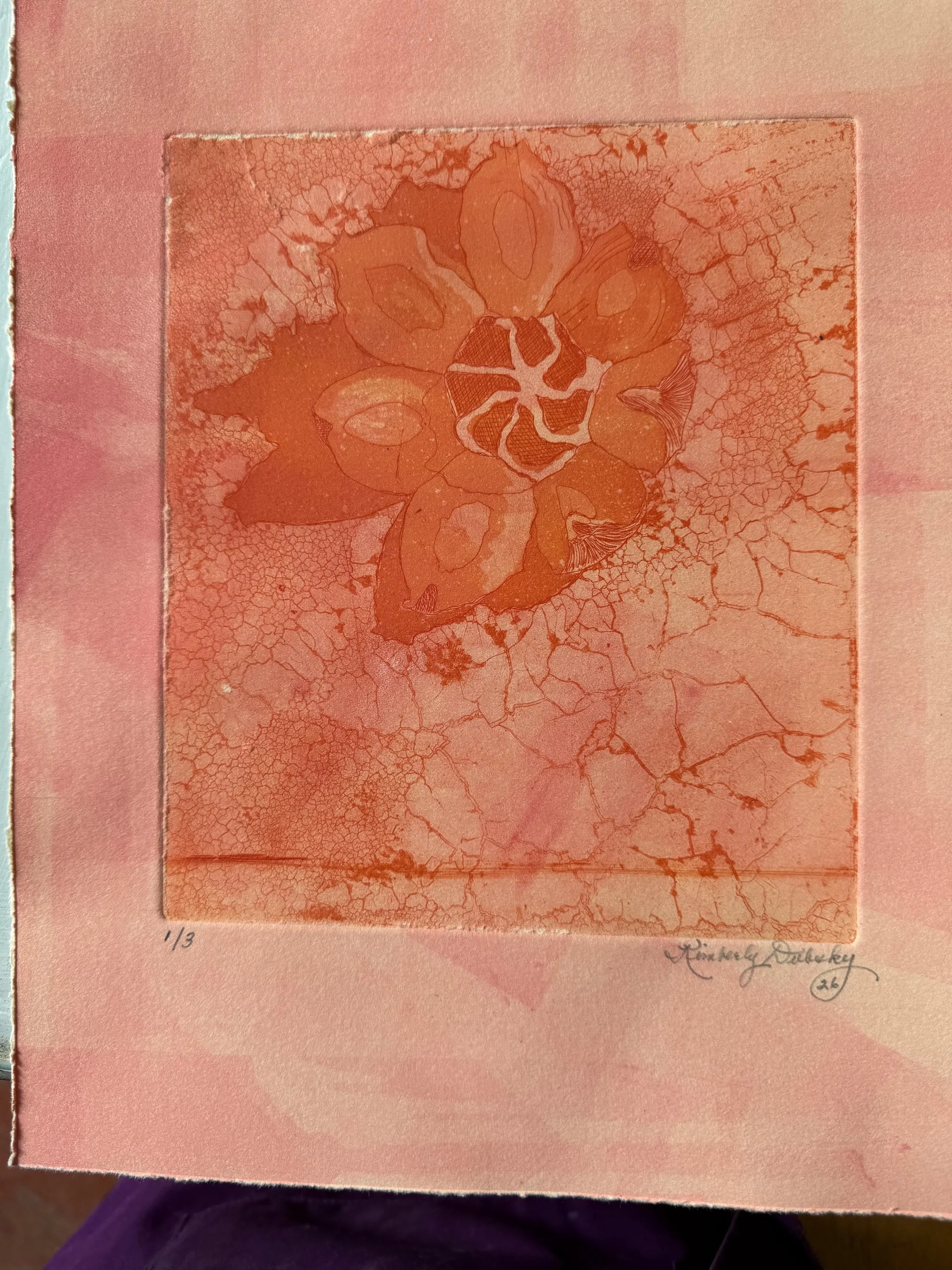image1 (1).jpeg