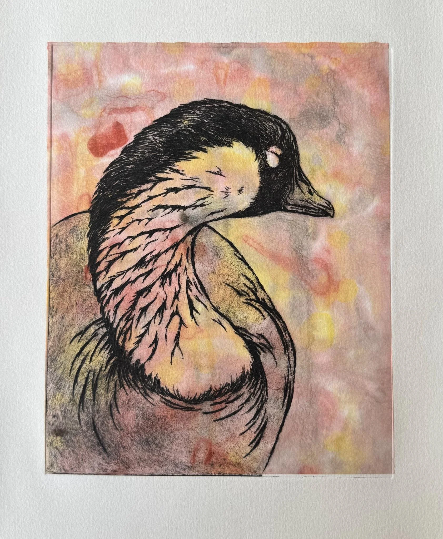 Copy of Avila_Nene.jpeg