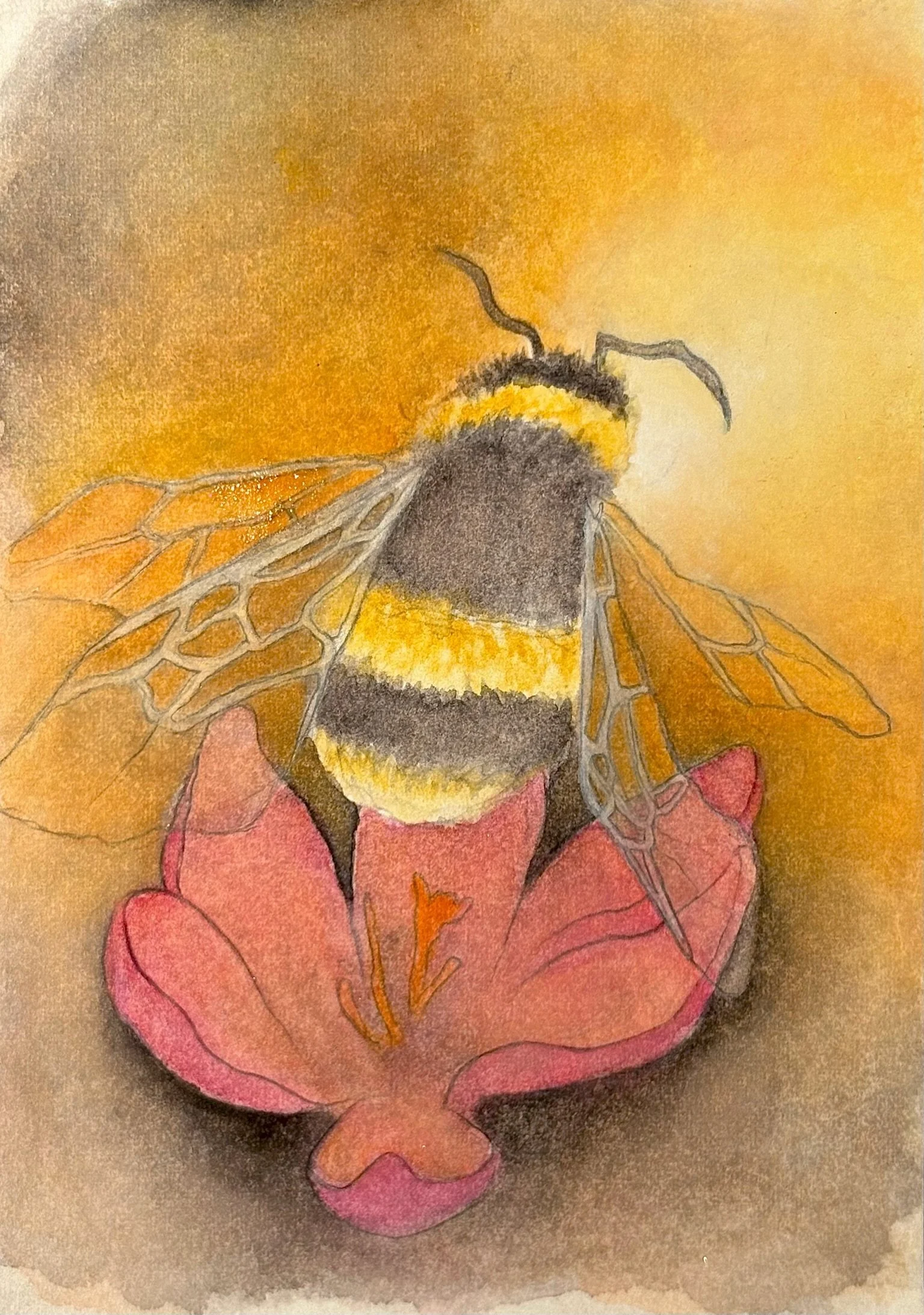 Simonsen_bee - Kirsten Rae Simonsen.jpeg