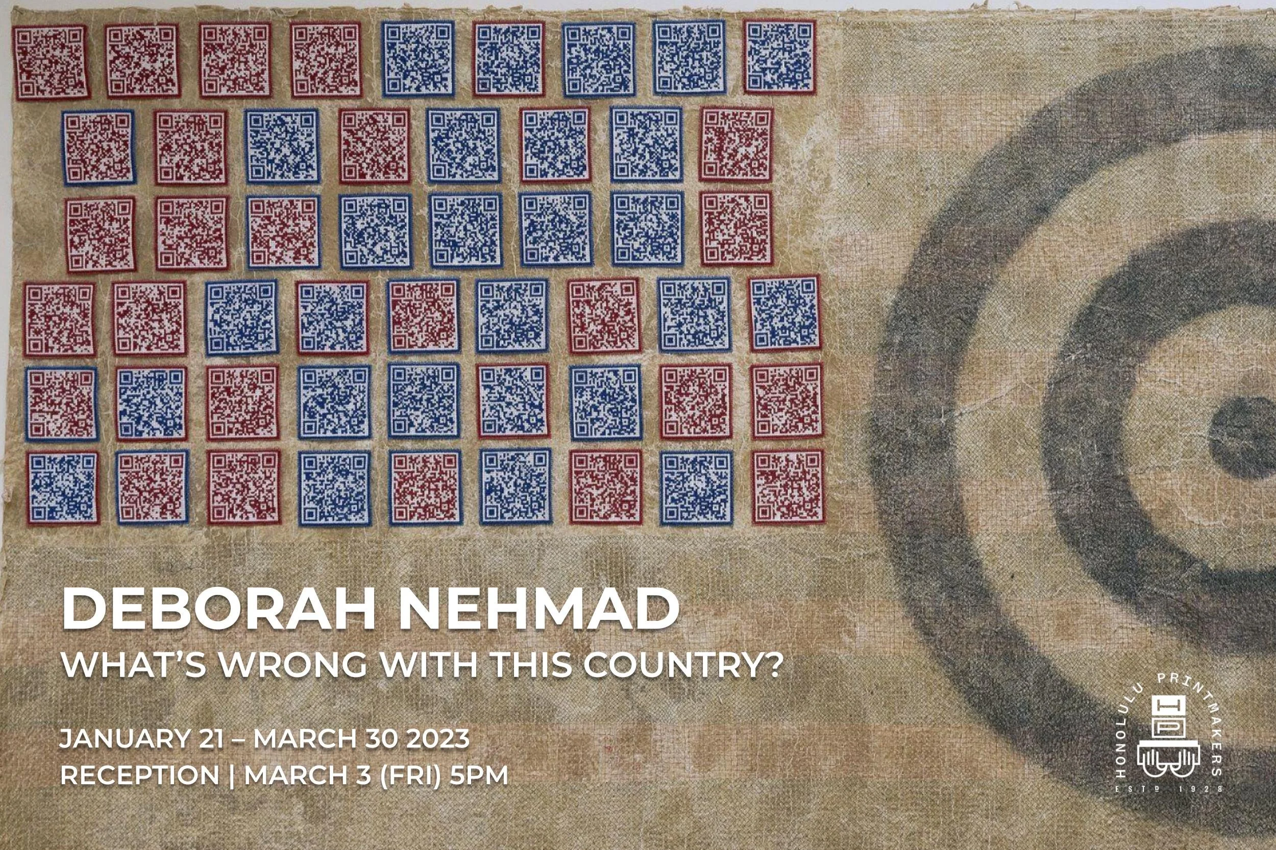 WHAT'S WRONG WITH THIS COUNTRY? | Deb Nehmad