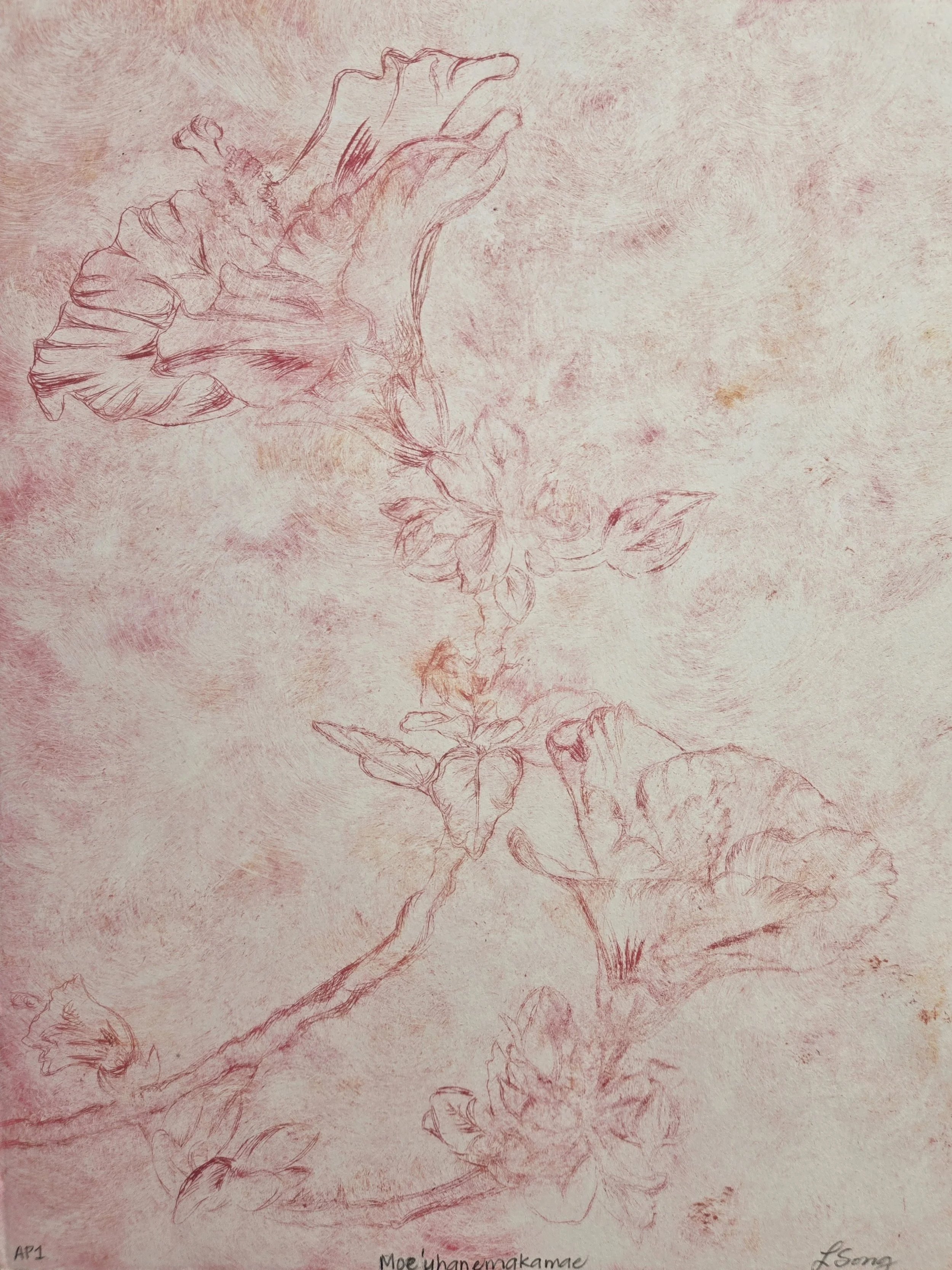 Moeʻuhane Makamae (pink)_Song.jpg