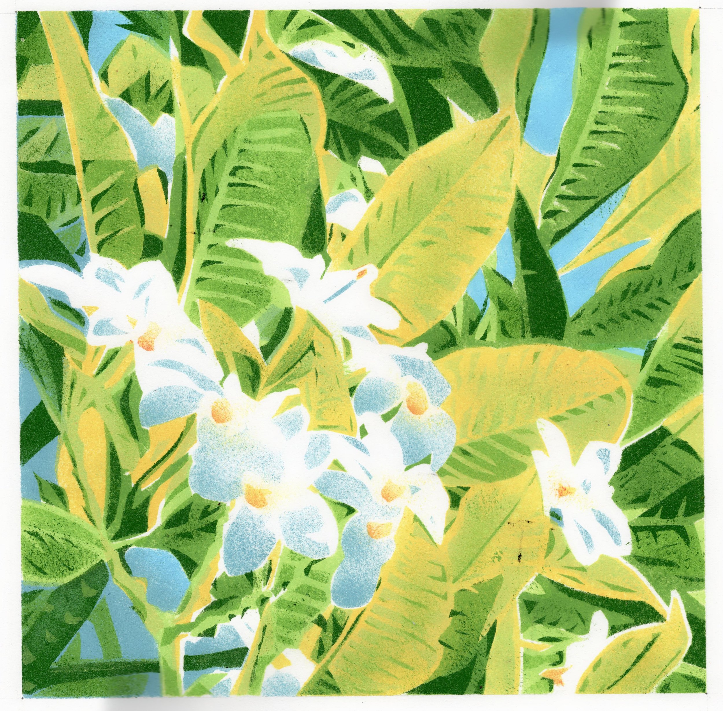 MChing_ Under the Plumeria Tree.jpg