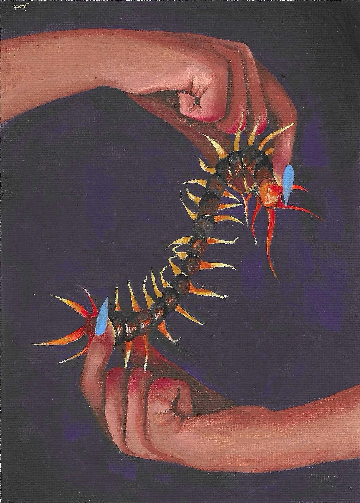 Crawly_Sasha Lynn Roberts_2025 - Sasha Lynn Roberts.jpeg