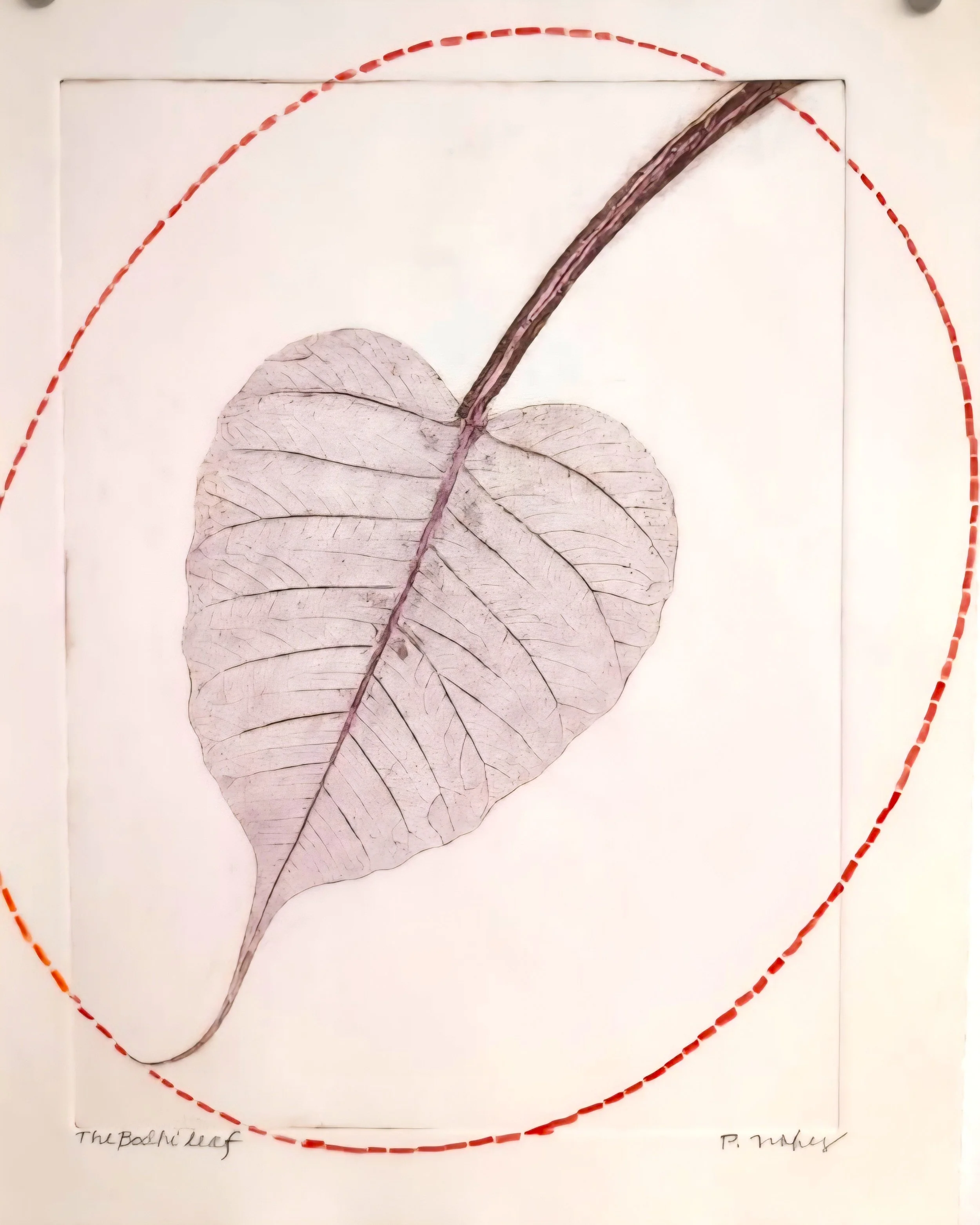 Nokes_Bodhi_Leaf.jpg