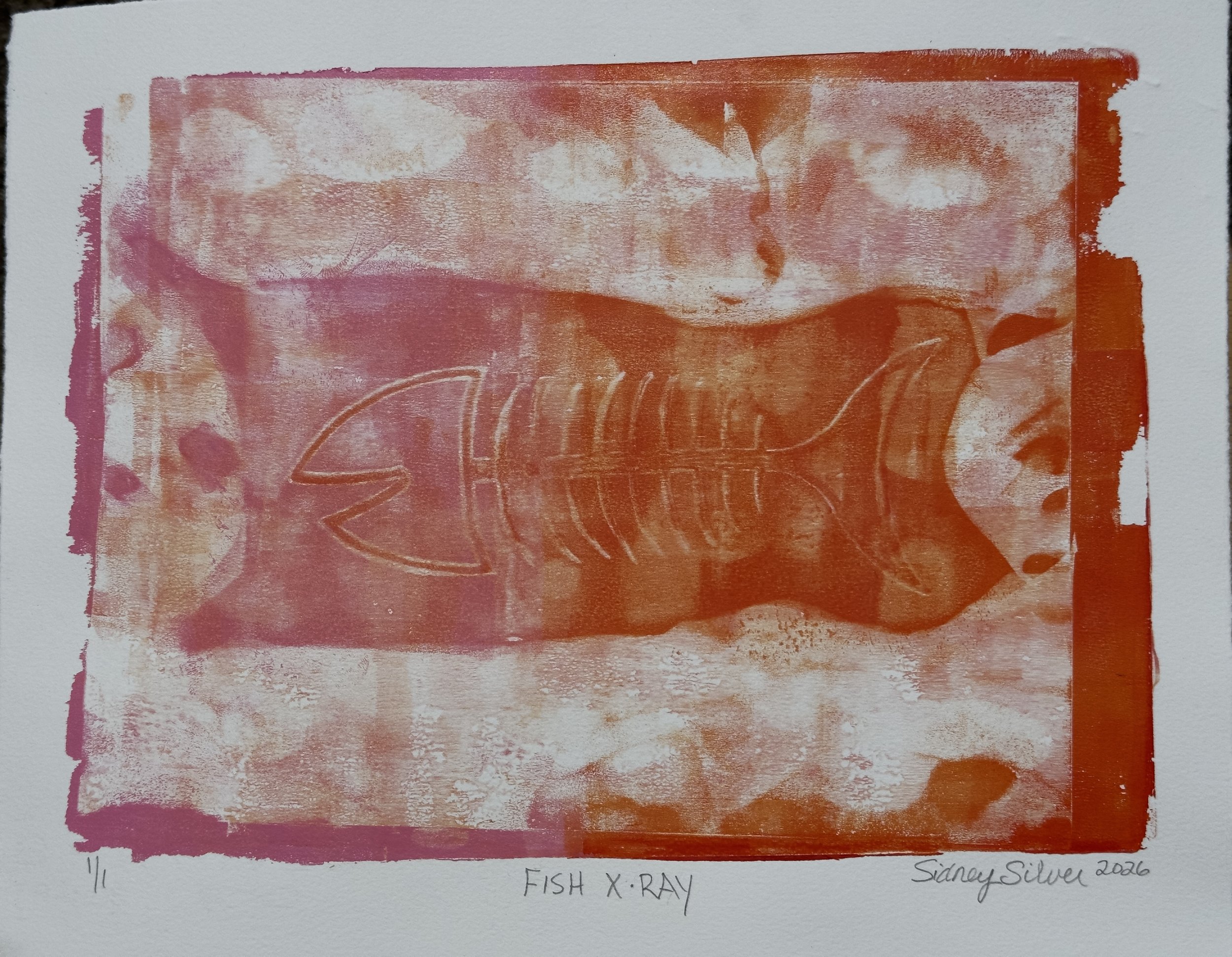Silver_Fish X-Ray.jpeg