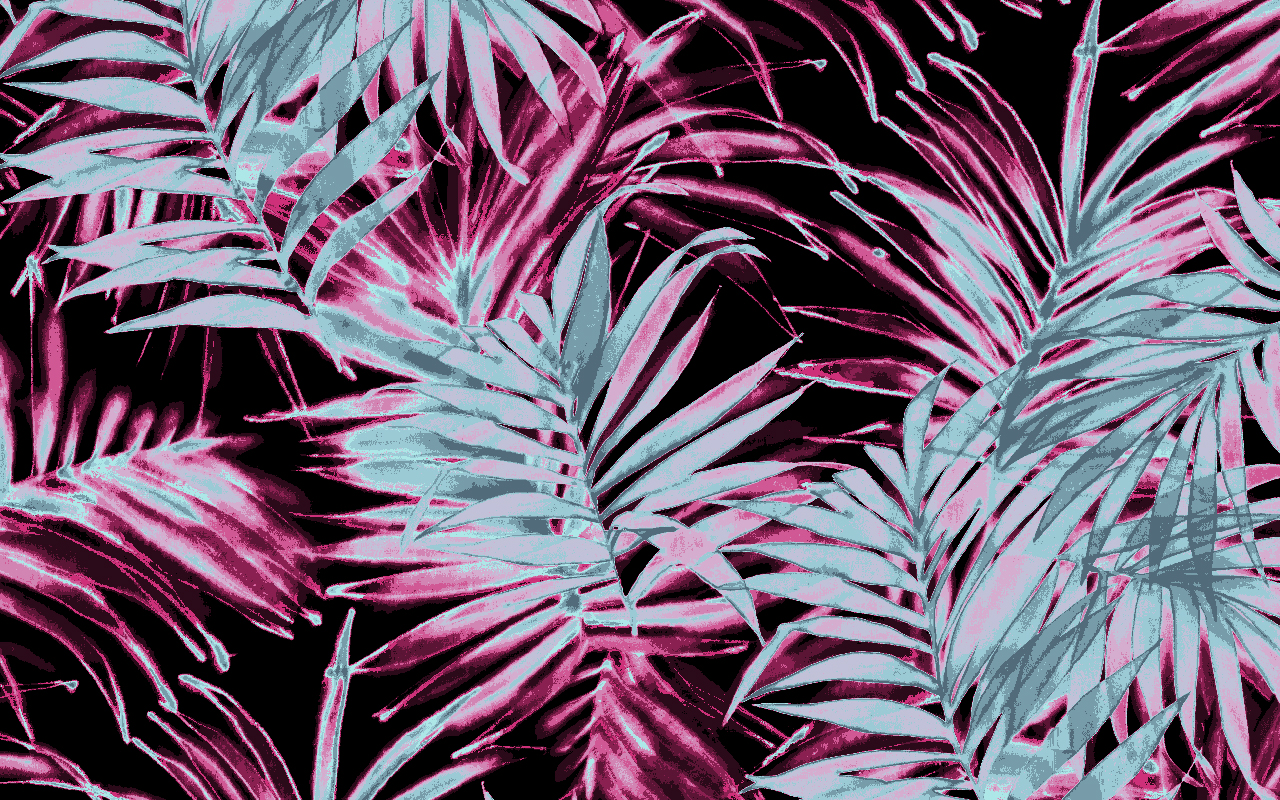 _LaneBryant_SP19_Active_0015_LBSP19069_PalmSprings_colorway14.jpg