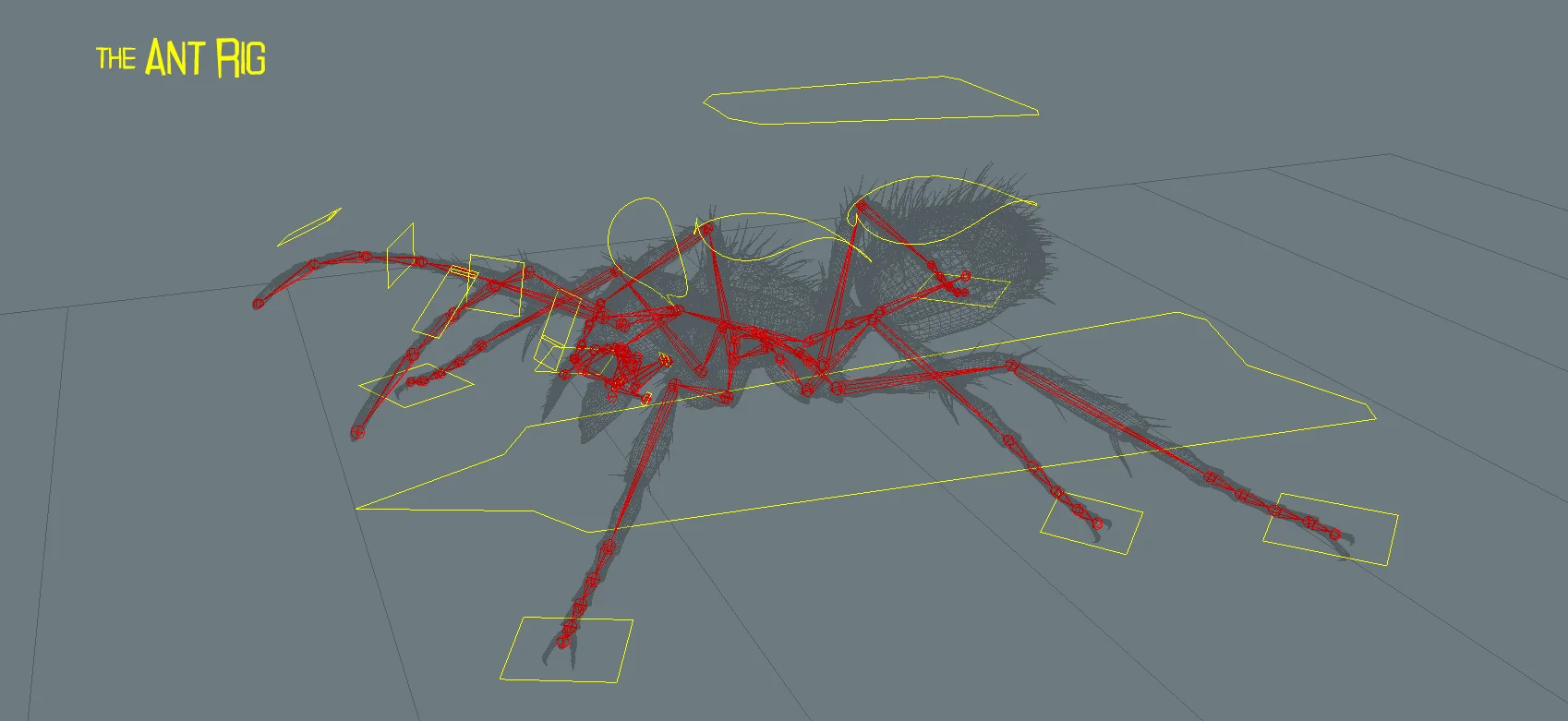 rig2.jpg