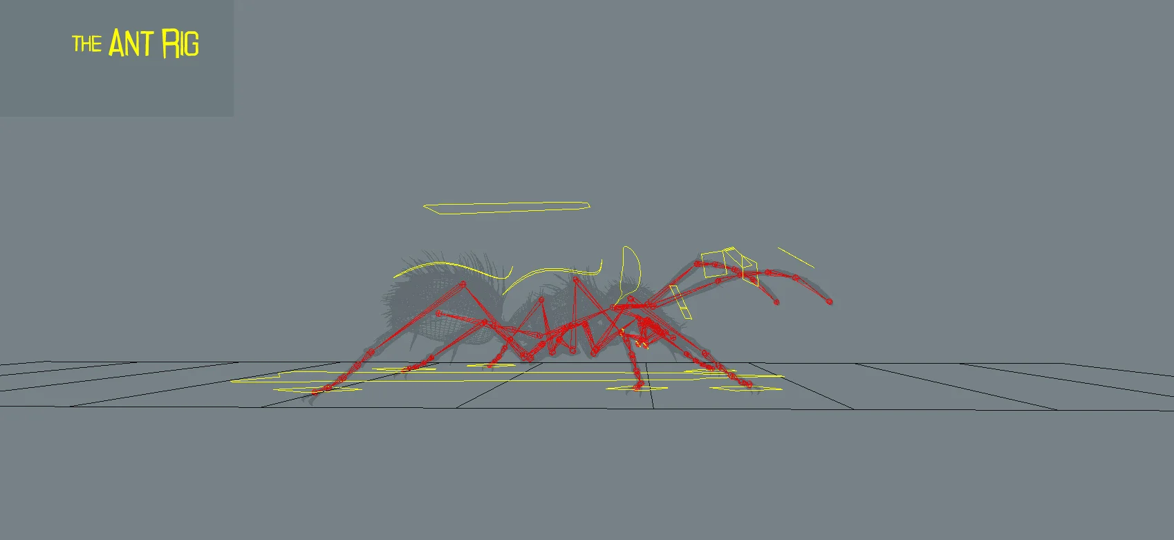rig3.jpg