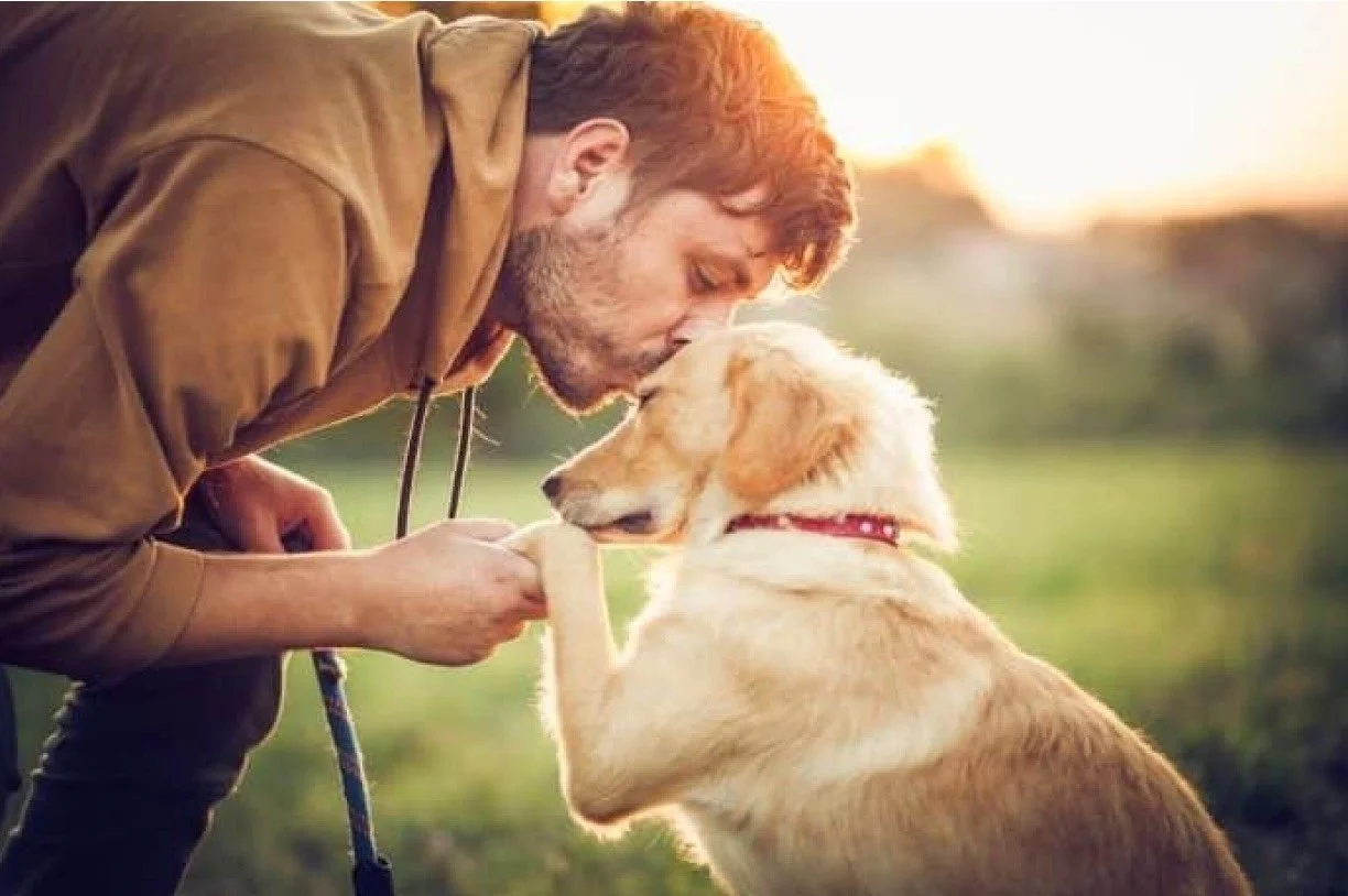 A realistic outdoor behavior session showing a dog owner calmly practicing structured leash exercises with a reactive dog in a quiet neighborhood