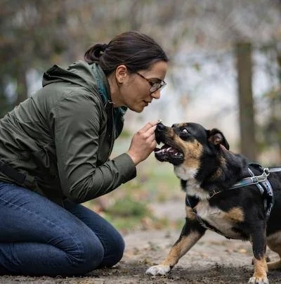 Dog owner kneeling and speaking closely to a tense dog on leash during a training moment in a park.