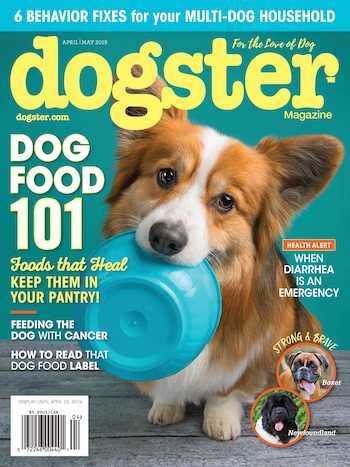 Dogster Magazine