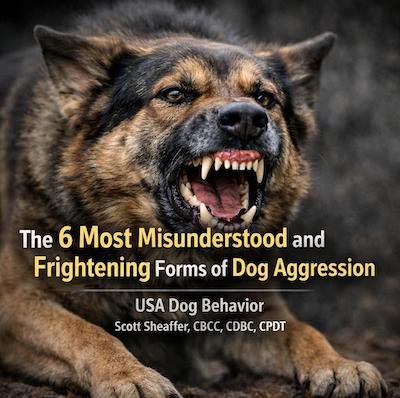 The 6 Most Misunderstood and Frightening Forms of Dog Aggression