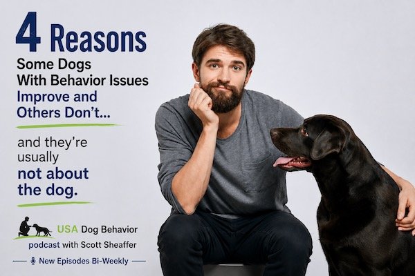 4 Reasons Some Dogs With Behavior Issues Improve and Others Don’t…And They’re Usually Not About the Dog