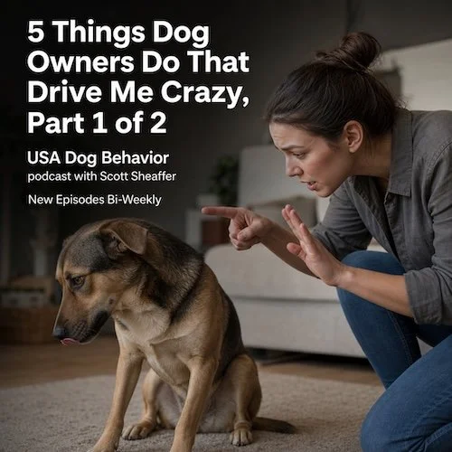 5 Things Dog Owners Do That Drive Me Crazy, Part 1