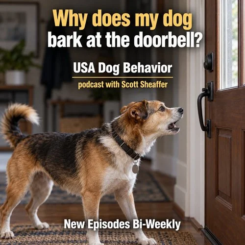 A dog barks beside a closed front door. Text: Why does my dog bark at the doorbell? USA Dog Behavior; podcast with Scott Sheaffer; New Episodes Bi-Weekly.