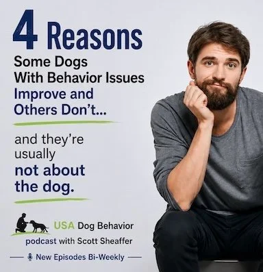 A realistic image of a dog owner calmly interacting with a serious-looking dog during a behavior-focused moment, styled for a professional canine behavior podcast cover with overlay text.