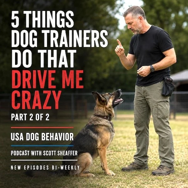 Professional dog trainer working with a German Shepherd. Text reads “5 Things Dog Trainers Do That Drive Me Crazy, Part 2 of 2,” followed by “USA Dog Behavior,” “Podcast with Scott Sheaffer,” and “New Episodes Bi-Weekly.”