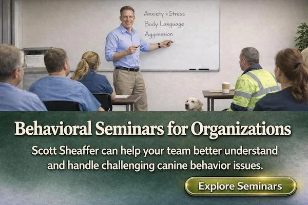 Scott Sheaffer teaching a dog behavior seminar to dog organization professionals.