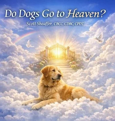 A golden retriever resting peacefully on soft clouds beneath a glowing sky with rays of light, symbolizing heaven and reunion.