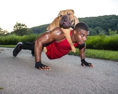 13 Ways You Can Exercise Your Dog This Summer (Indoors and Outdoors ...
